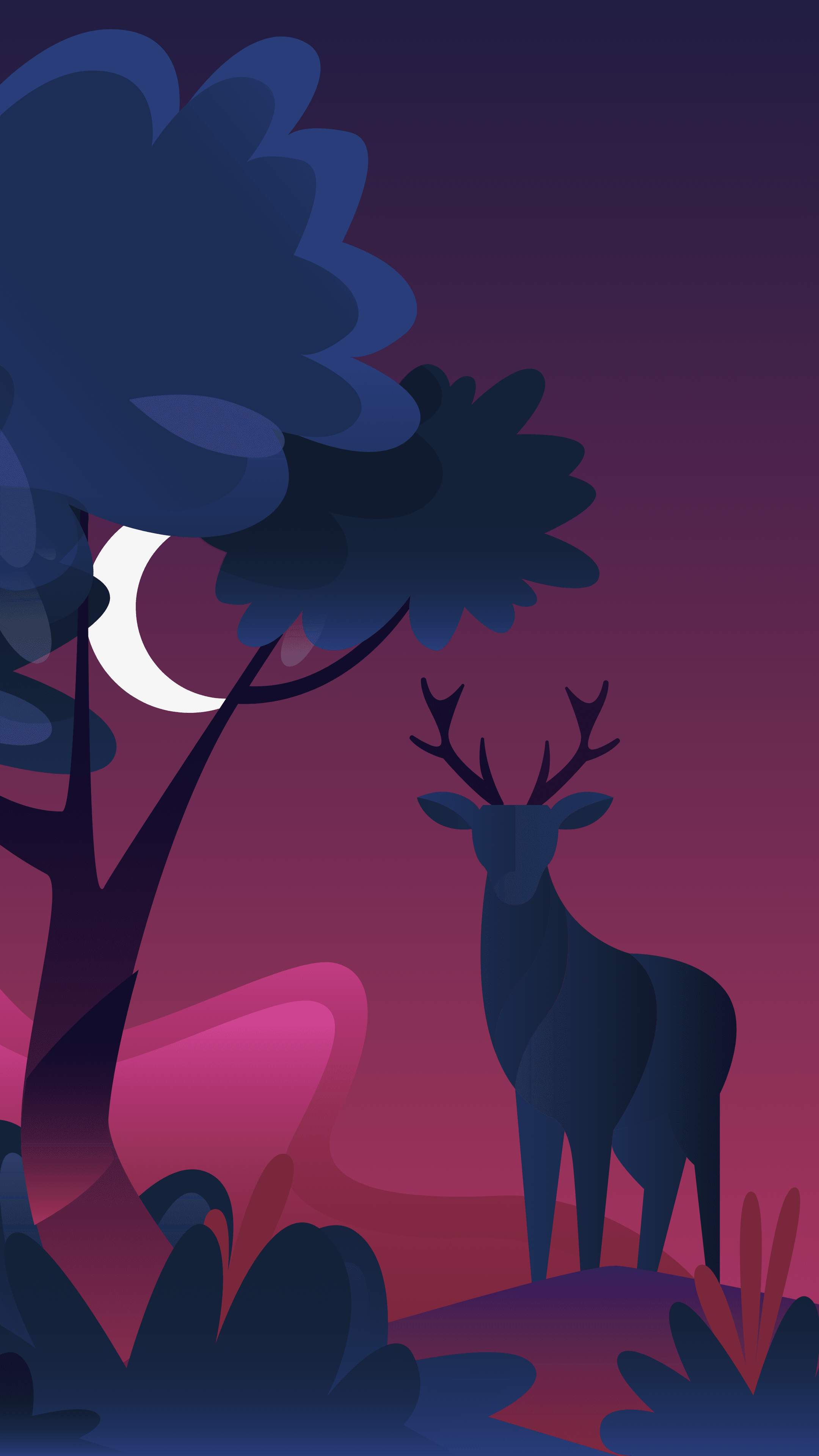 Fondo Oscuro