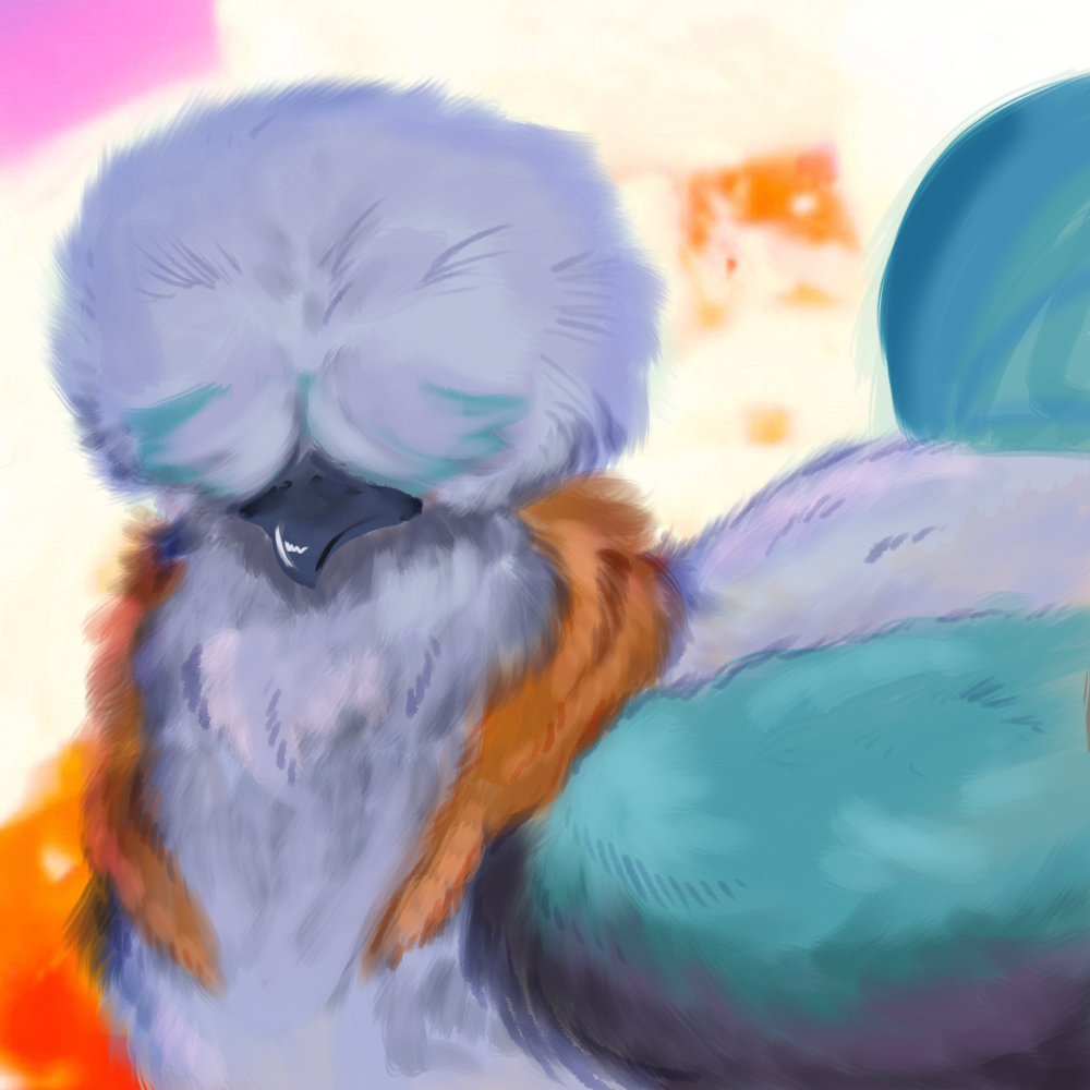 Lil Tim the Cucco