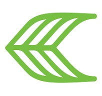 Cariuma logo