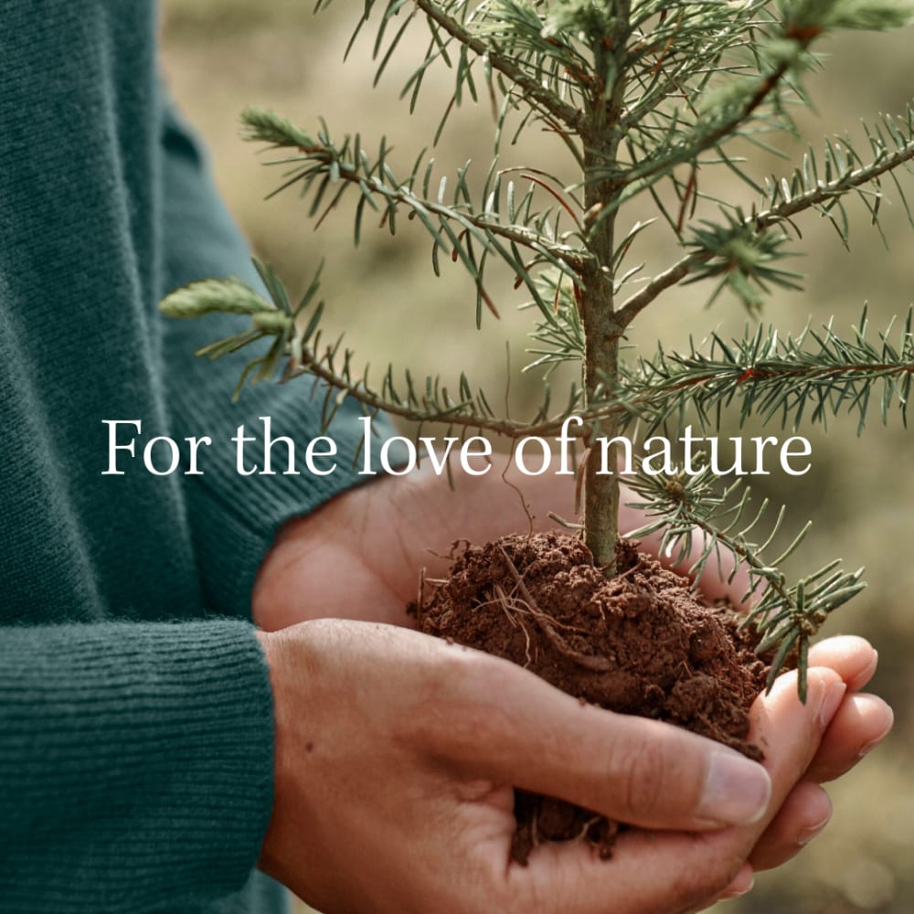 Hampshire Forests to support their mission from Garnet Hill