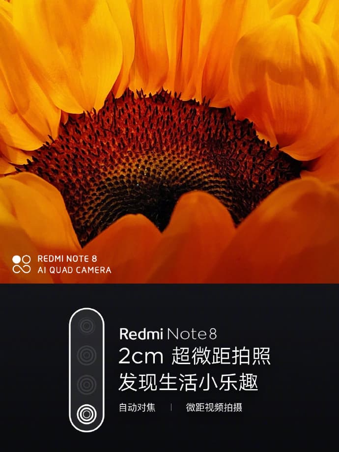 Redmi Note 8 拍摄样张 —— 微距
