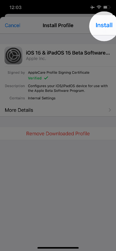 iOS 15 Public Beta 下载步骤(7)
