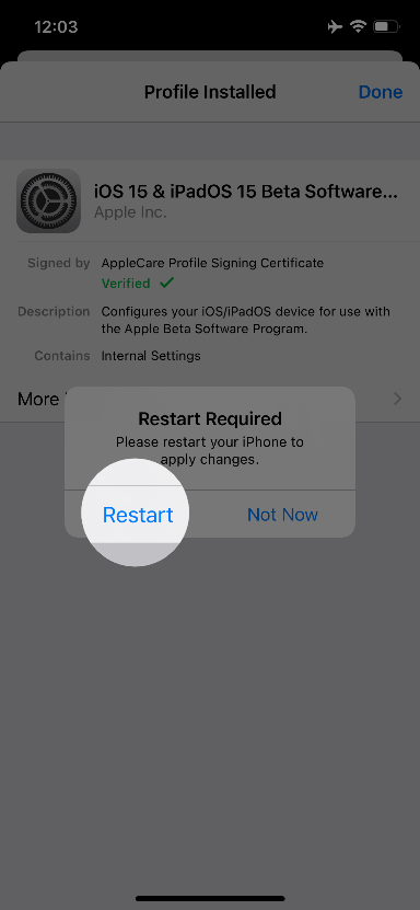 iOS 15 Public Beta 下载步骤(9)