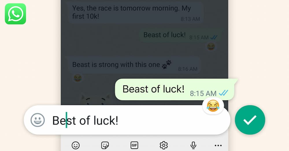 WhatsApp 编辑信息
