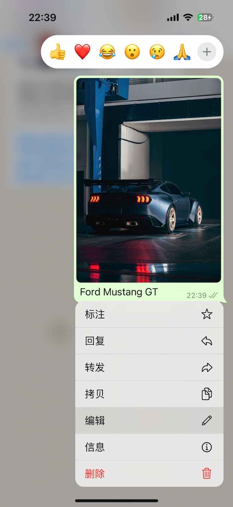 WhatsApp 媒体文字说明编辑 (iOS)