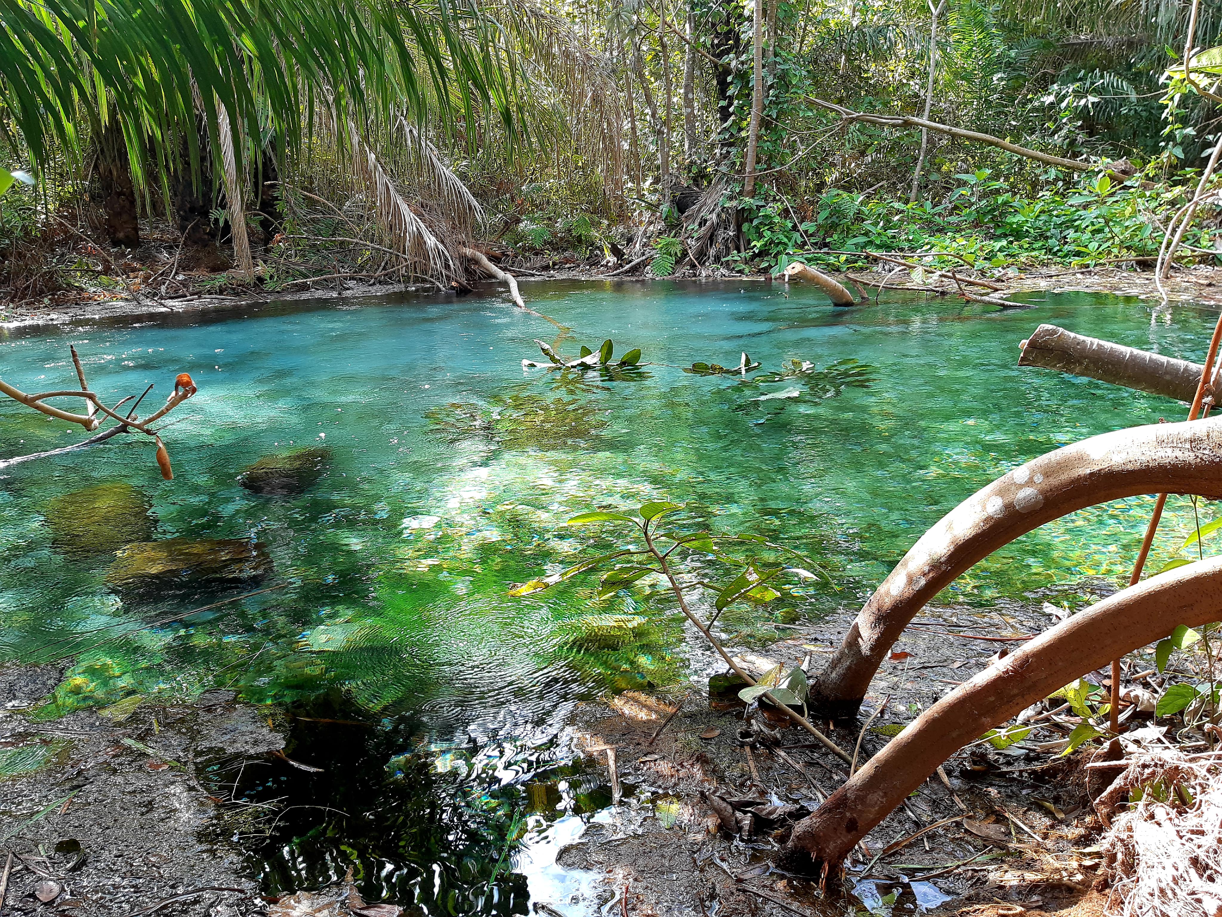 Cabecera, Rincón del Tigre, zona sur del ANMI San Matías
©Roxana Ledezma