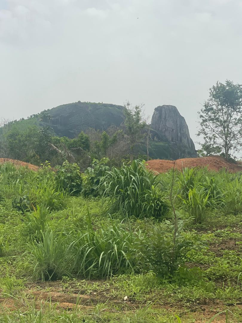Gbenabe moist Savanna habitat
Photo credit @ Aiah Lebbie