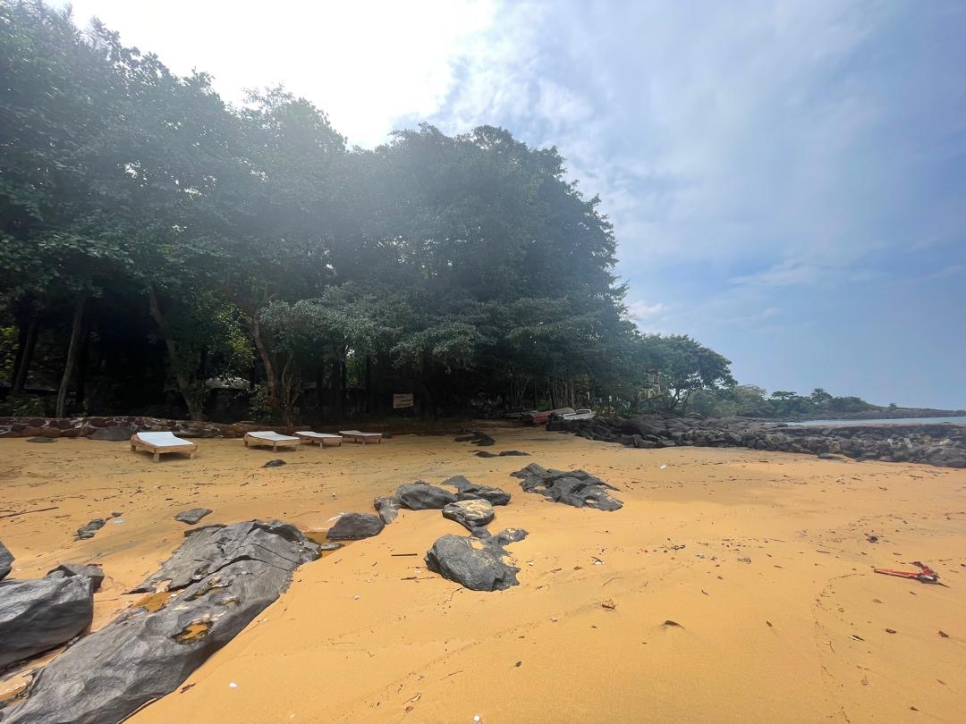 Banana Island coastal forest
Photo credit @ Aiah Lebbie