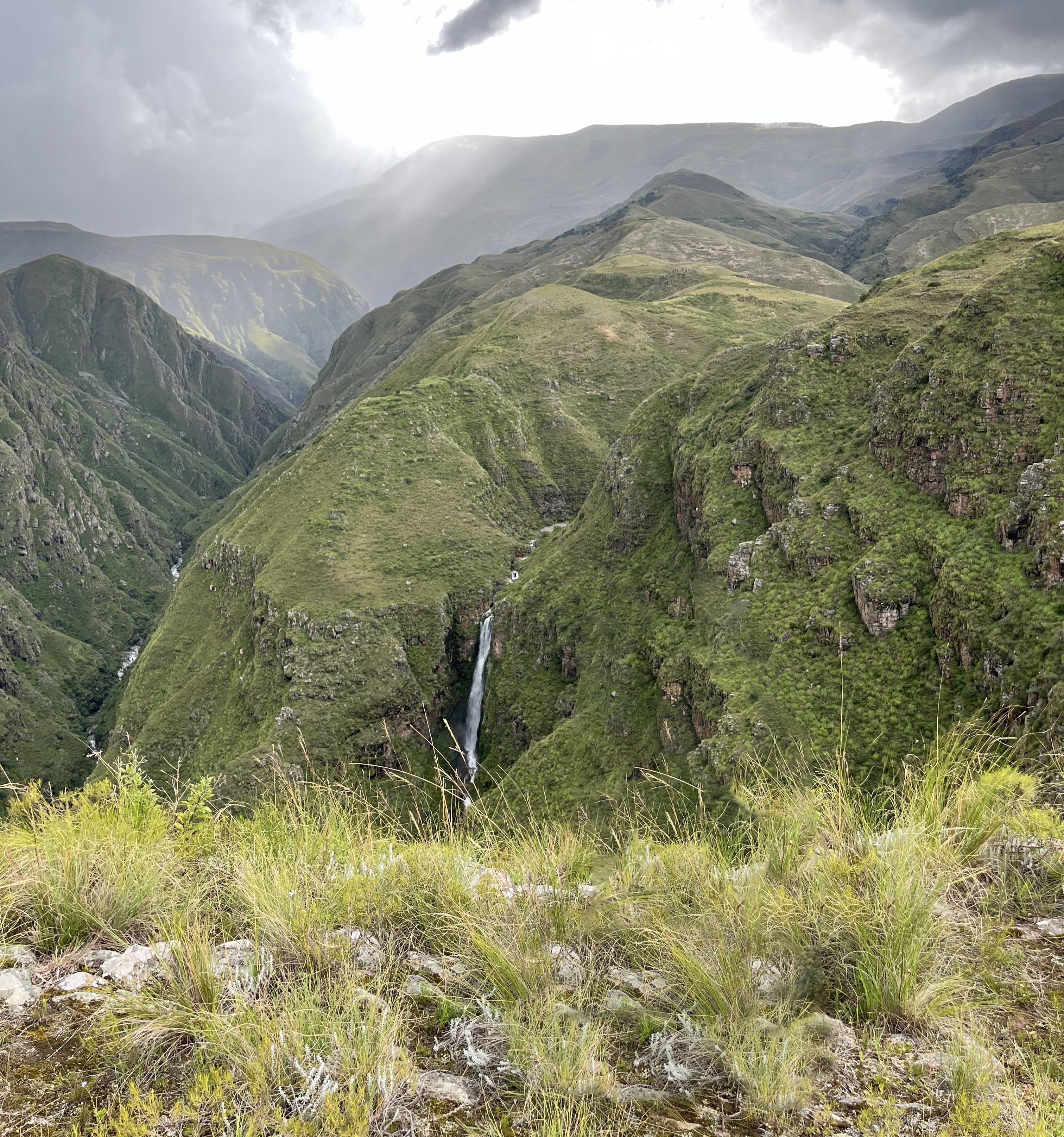 Reserva Biológica de la Cordillera de Sama, Erquis Ceibal © Maira Martinez