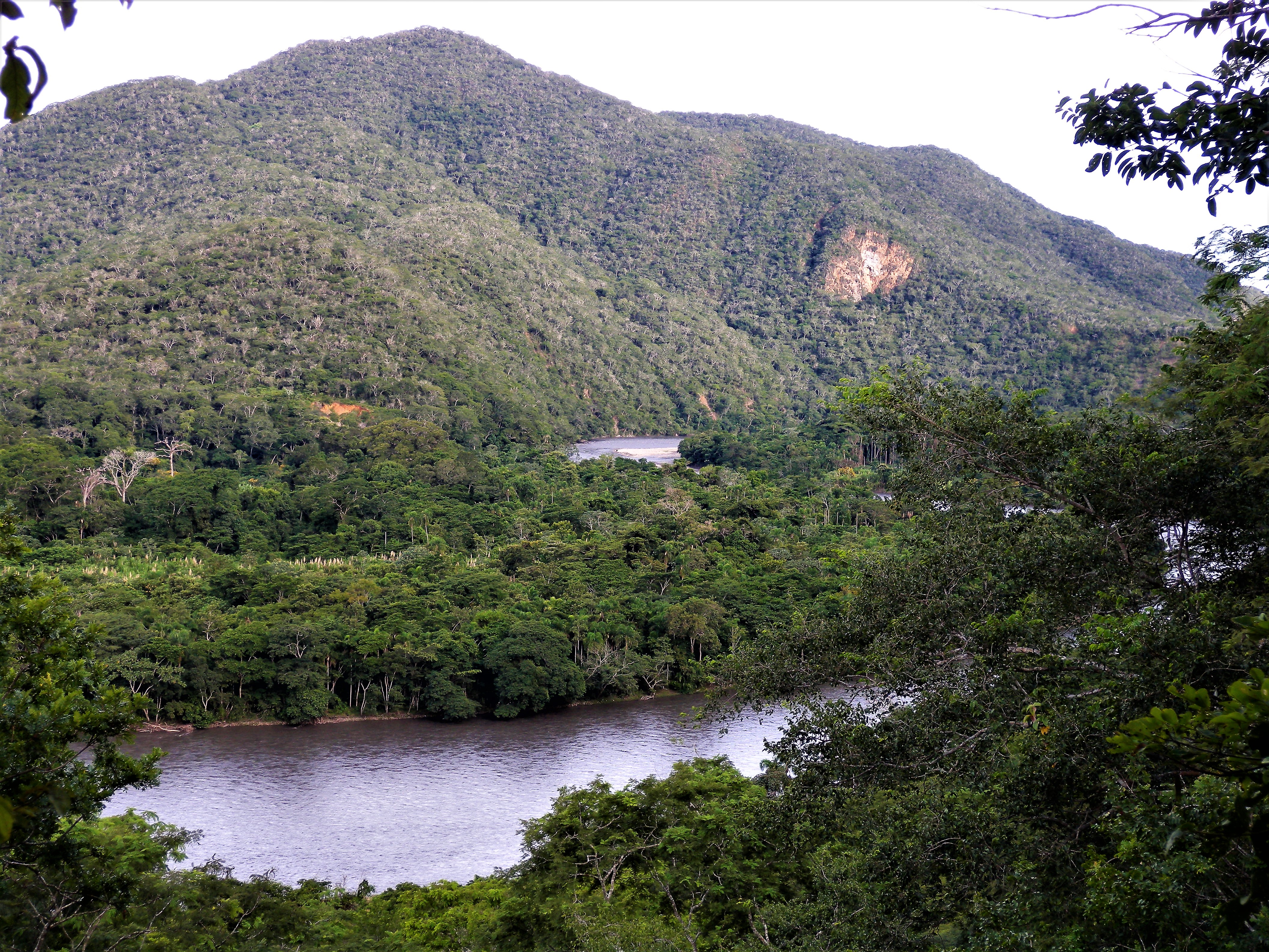 Bosque seco Resina, Río Tuichi © MBG-Bolivia/Alfredo Fuentes