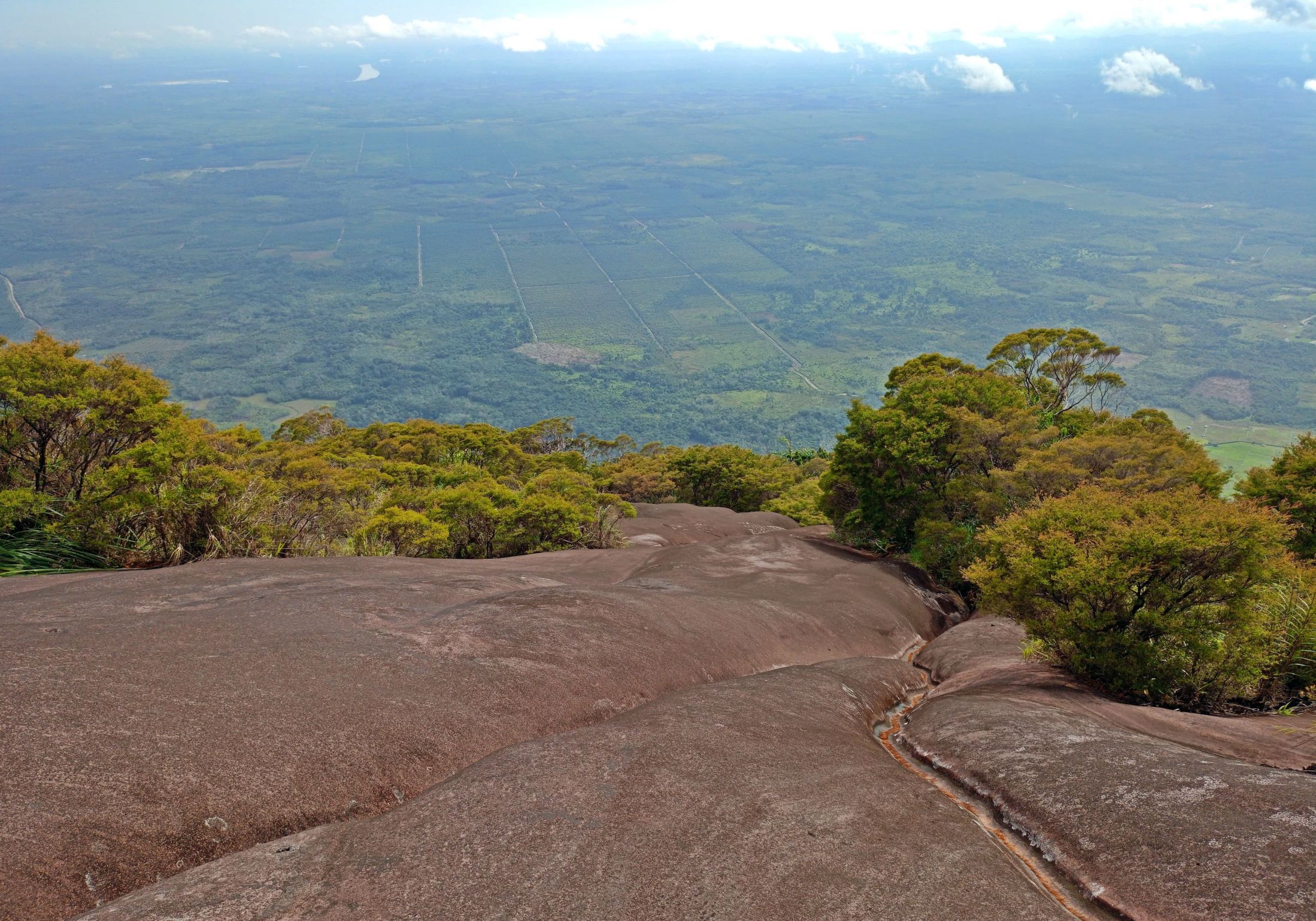 Granitic bedrock on Bukit Kelam with small trees growing on it (W.A. Mustaqim)