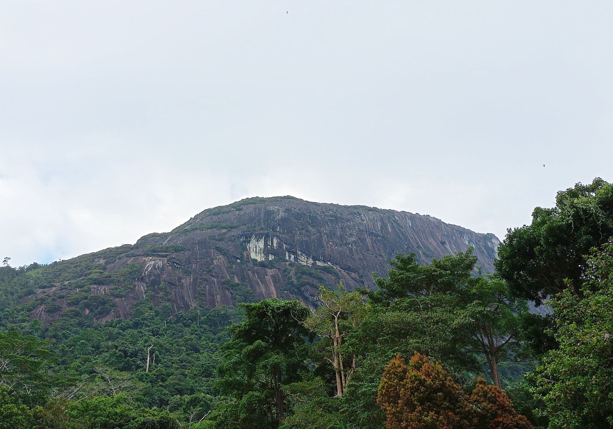 Bukit Kelam seen from the south-west (W.A. Mustaqim)
