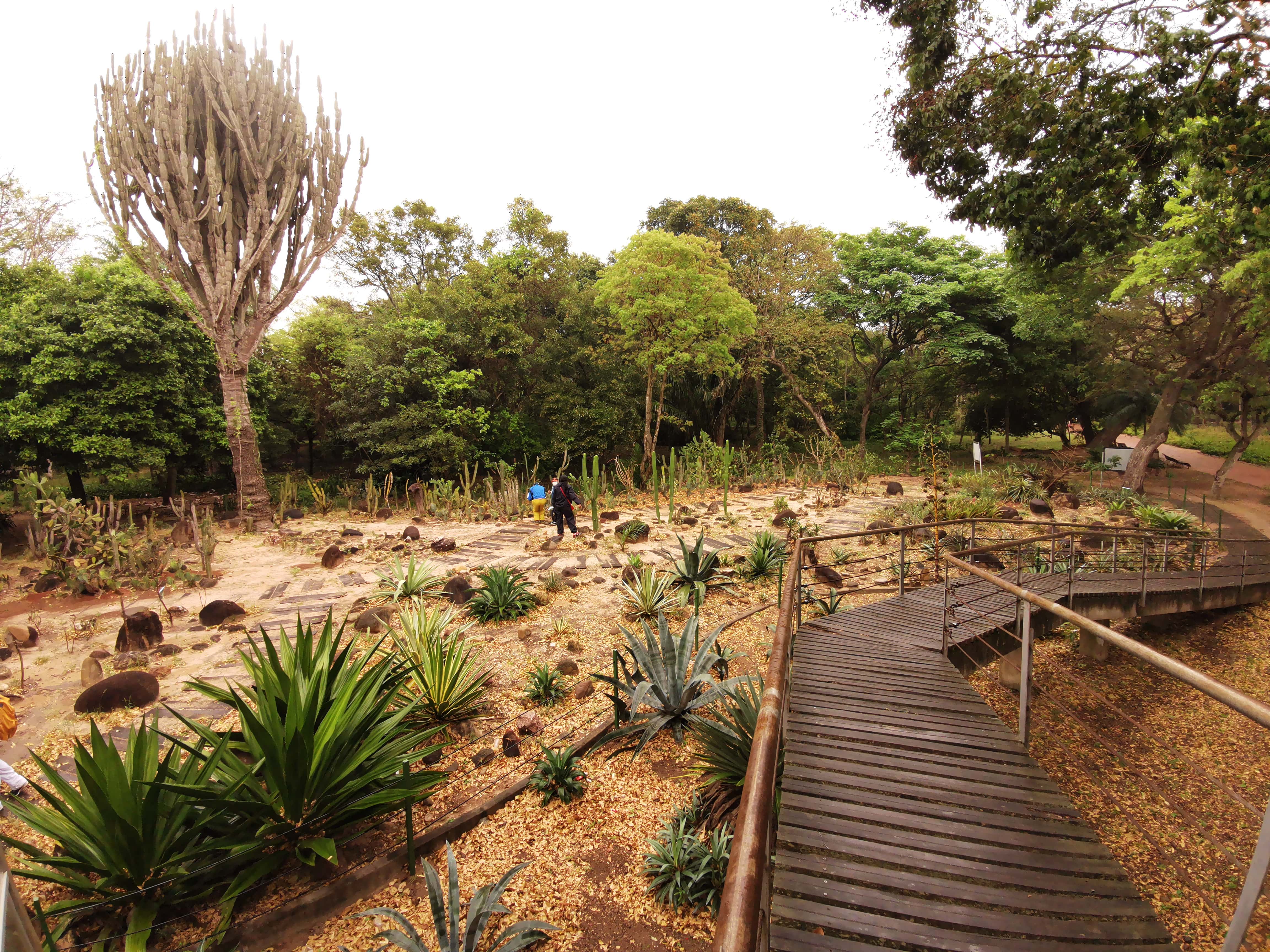 Cactario, como uno de los centros de interpretación de Jardín Botánico ©Maira Martinez Proyecto Iniciativa Darwin (26-024)