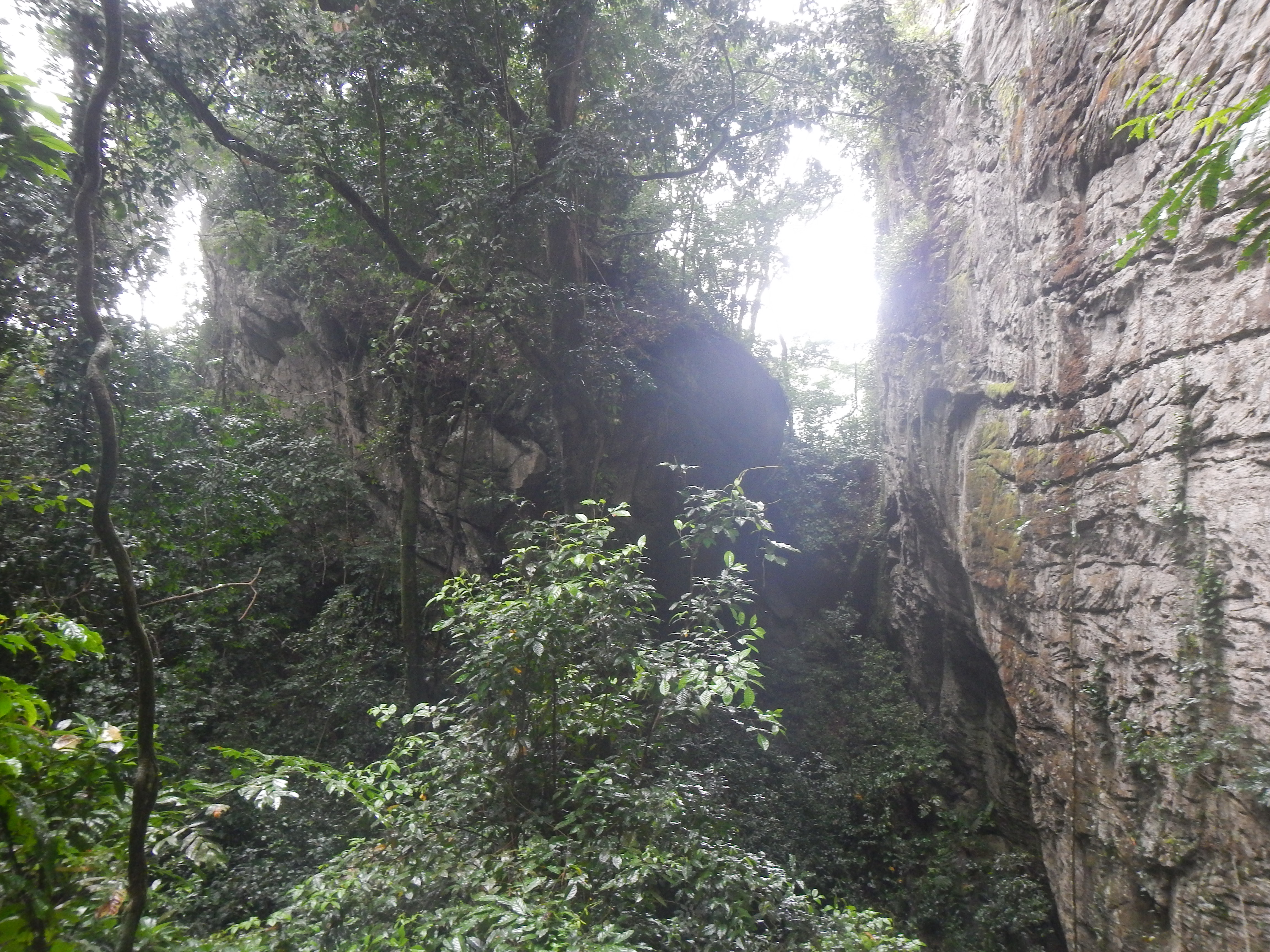 Sheer rock cliffs at Colline Nkoltsia. Photograph Xander van der Burgt Oct 2017 © RBG, Kew