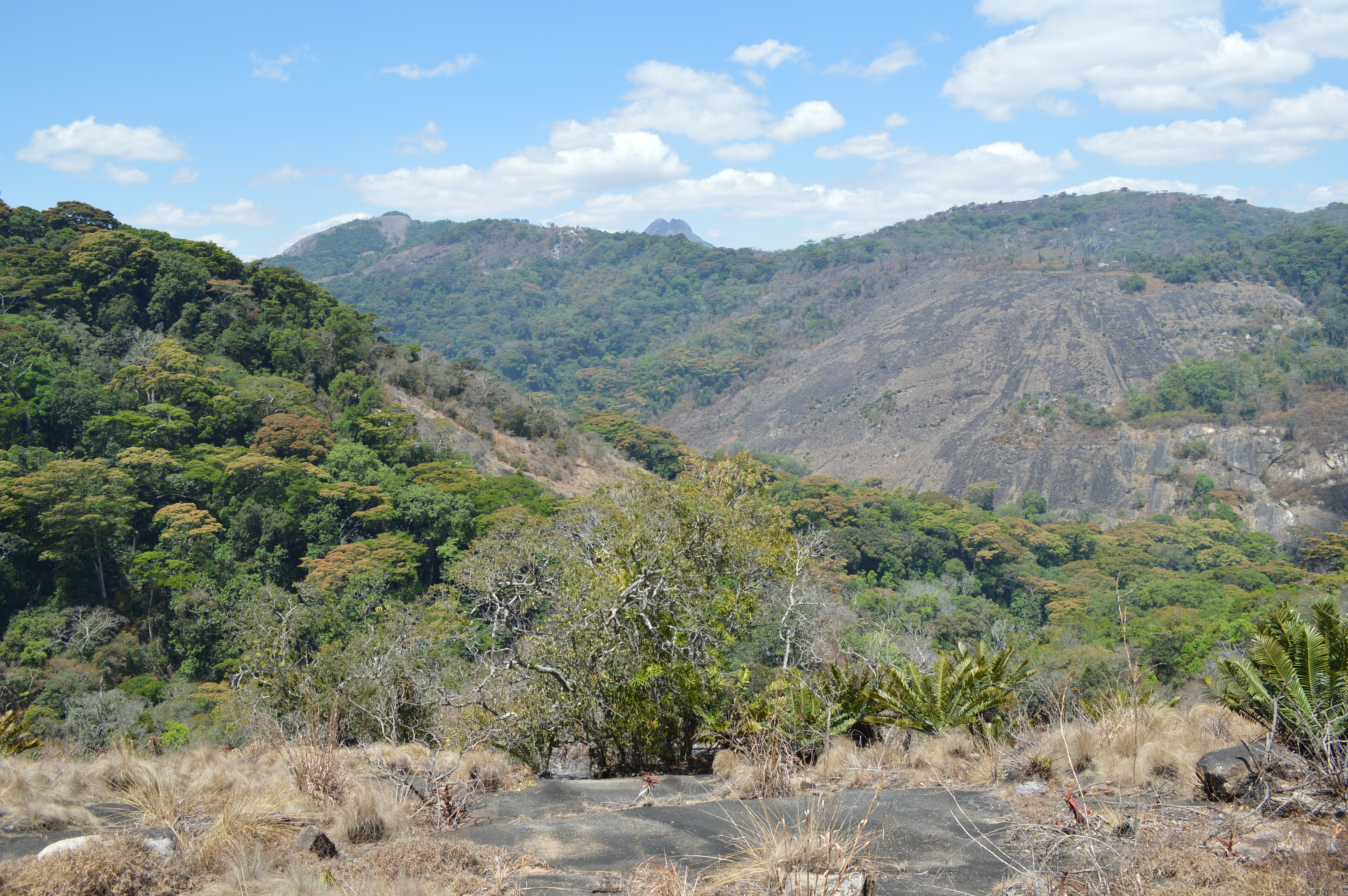 Diverse habitats in the Serra de Ribáue. Photo I. Darbyshire