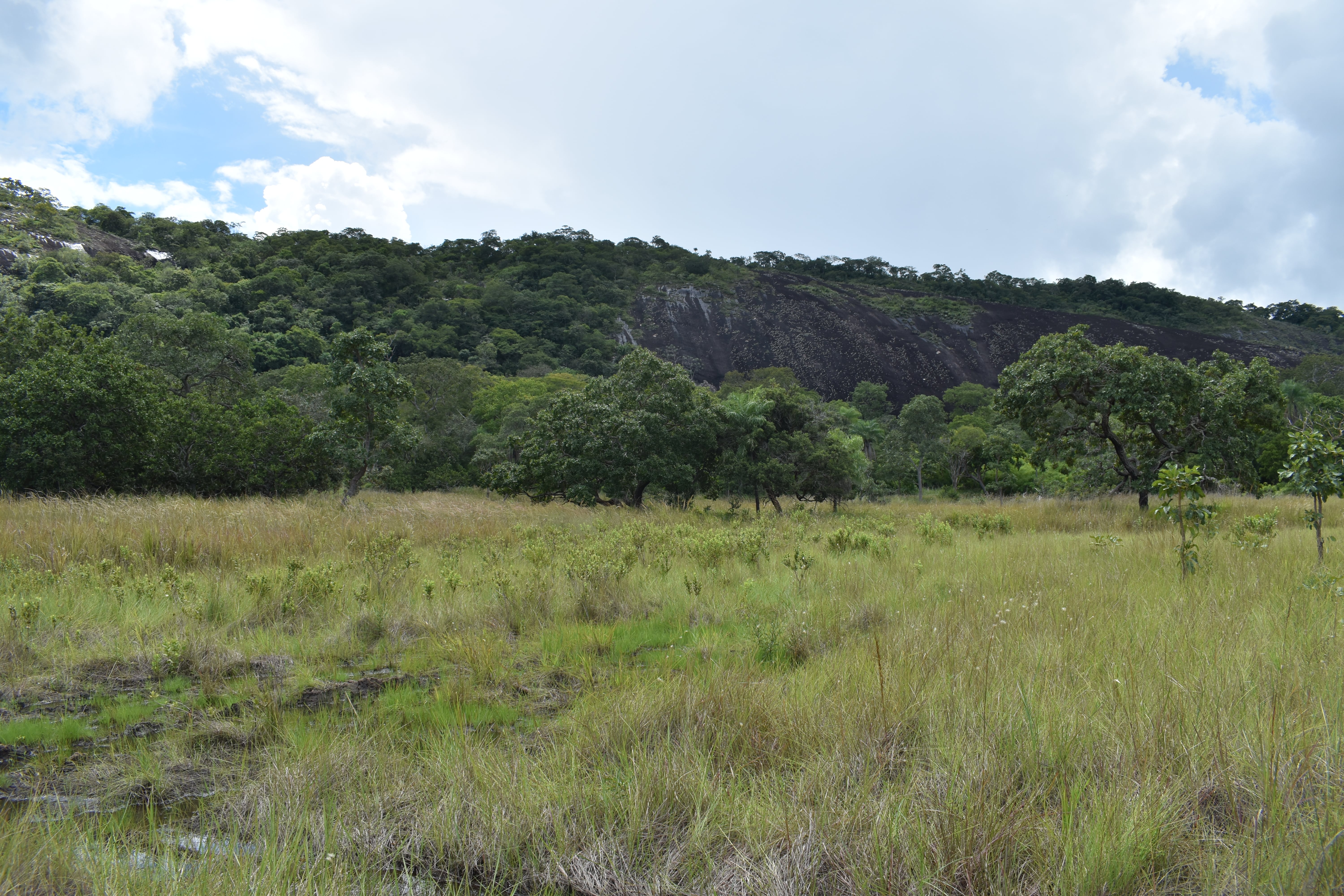 Cerro Pescado, uno de los senderos turísticos y al pie campo estacionalmente inundado ©Maira Martinez Proyecto Iniciativa Darwin (26-024)