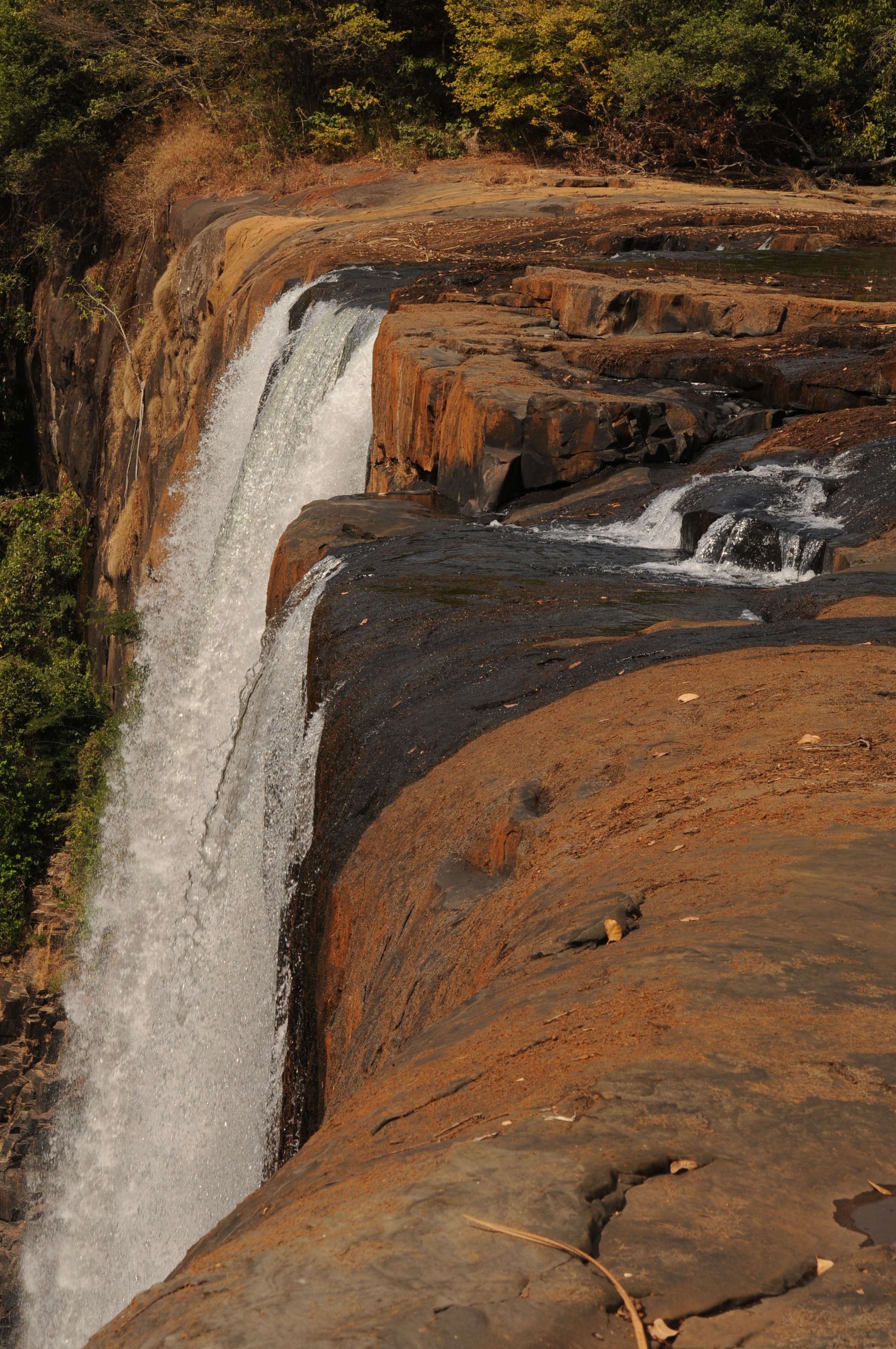 Kambadga Falls, Jan 2018. Photo: M. Cheek ©RBG Kew