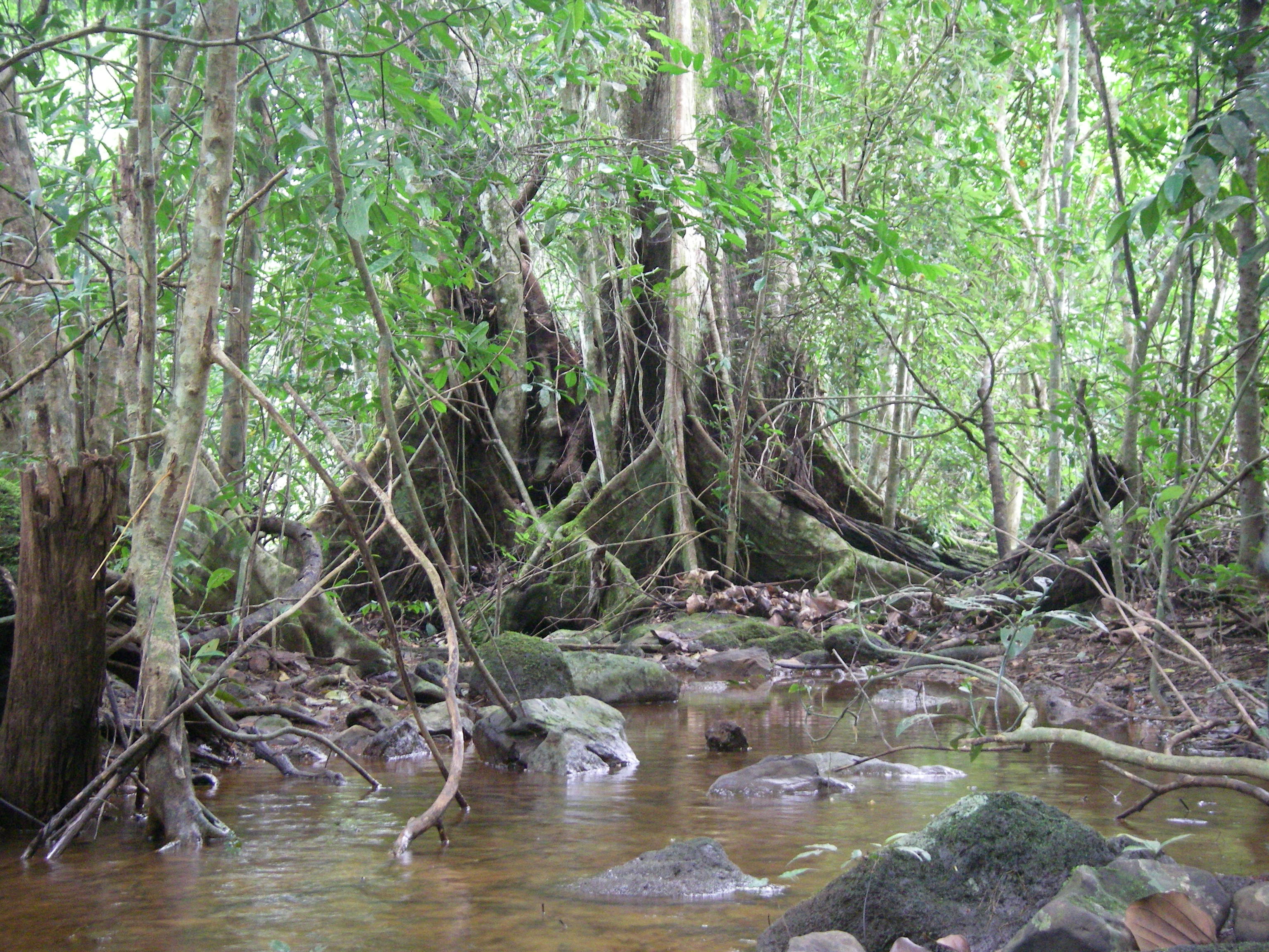 Photo credit: X. van der Burgt, 2009