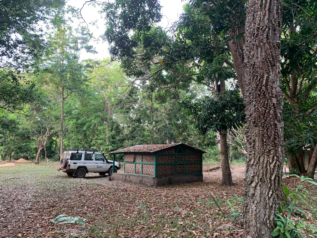 Wooded Savanna at OKNP
Photo credit @ Aiah Lebbie.
