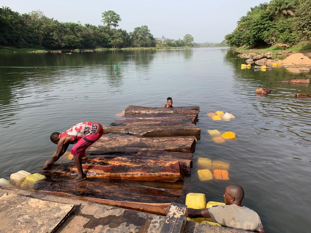 Transportation of Pterocarpus erinaceus vai the Kabba river leading to OKNP in 2021
Photo credit @ Aiah Lebbie.