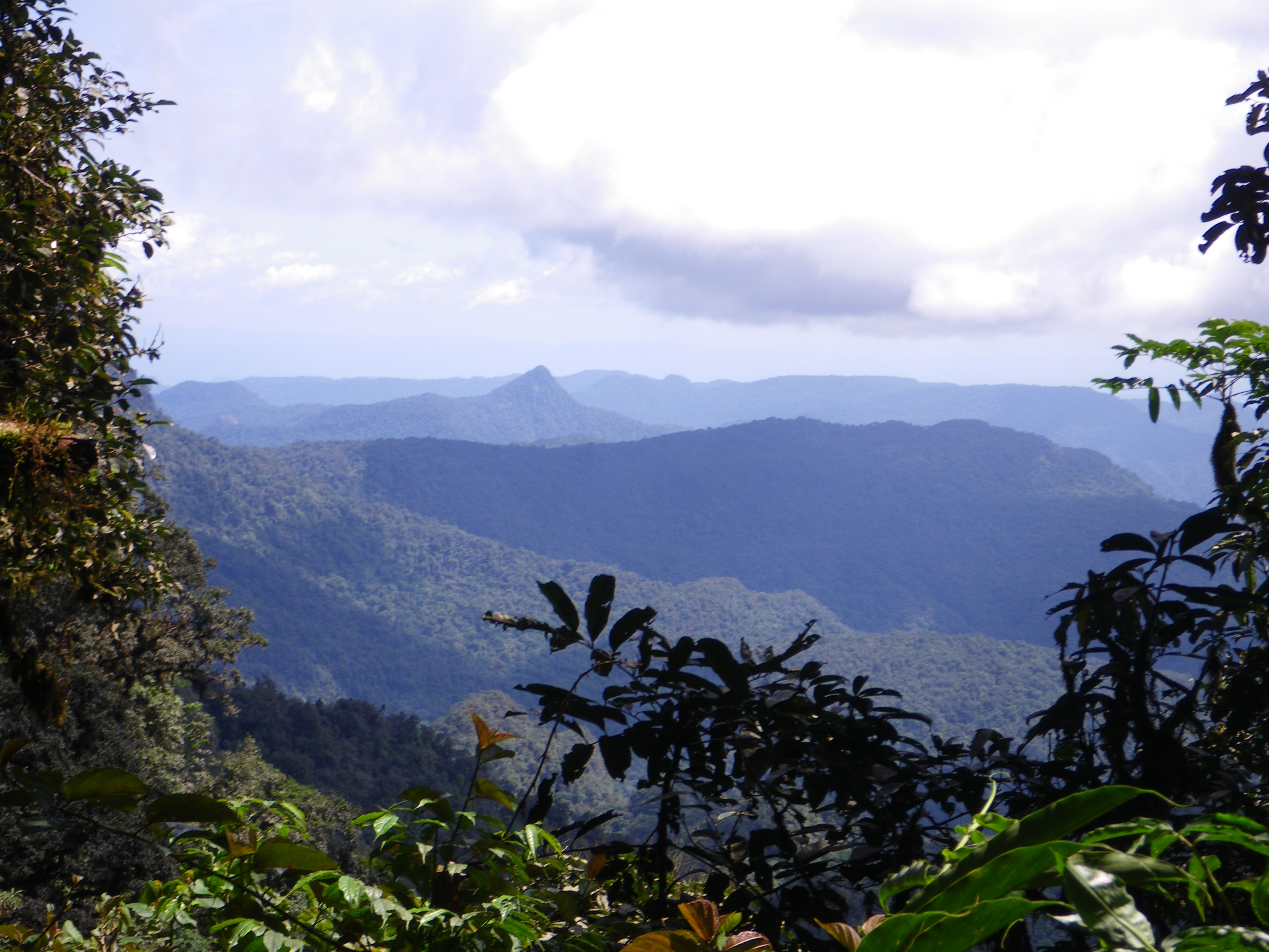 Rumpi Hills. Photograph Olivier Lachenaud, 2009