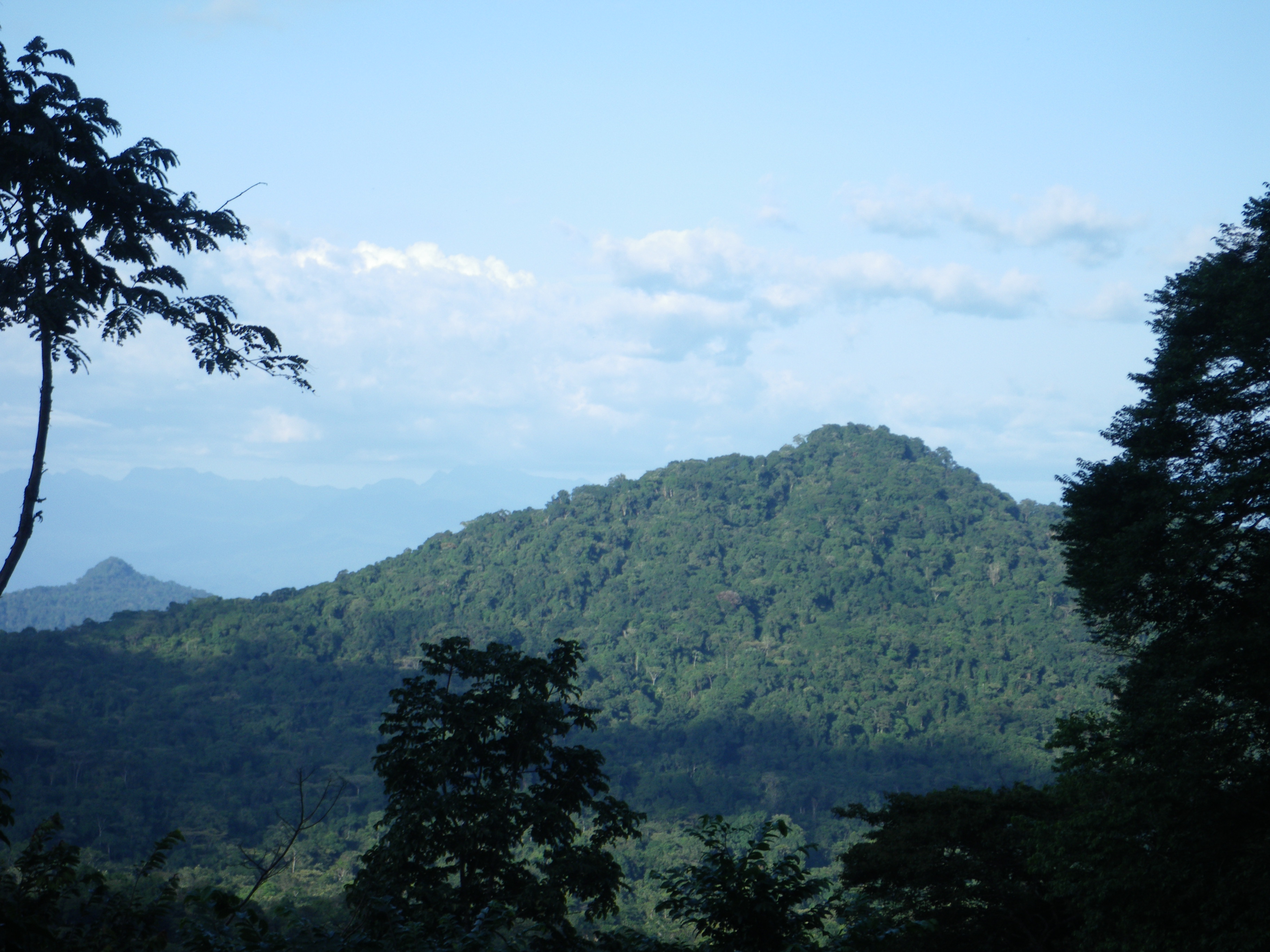 Rumpi Hills. Photograph Olivier Lachenaud, 2009