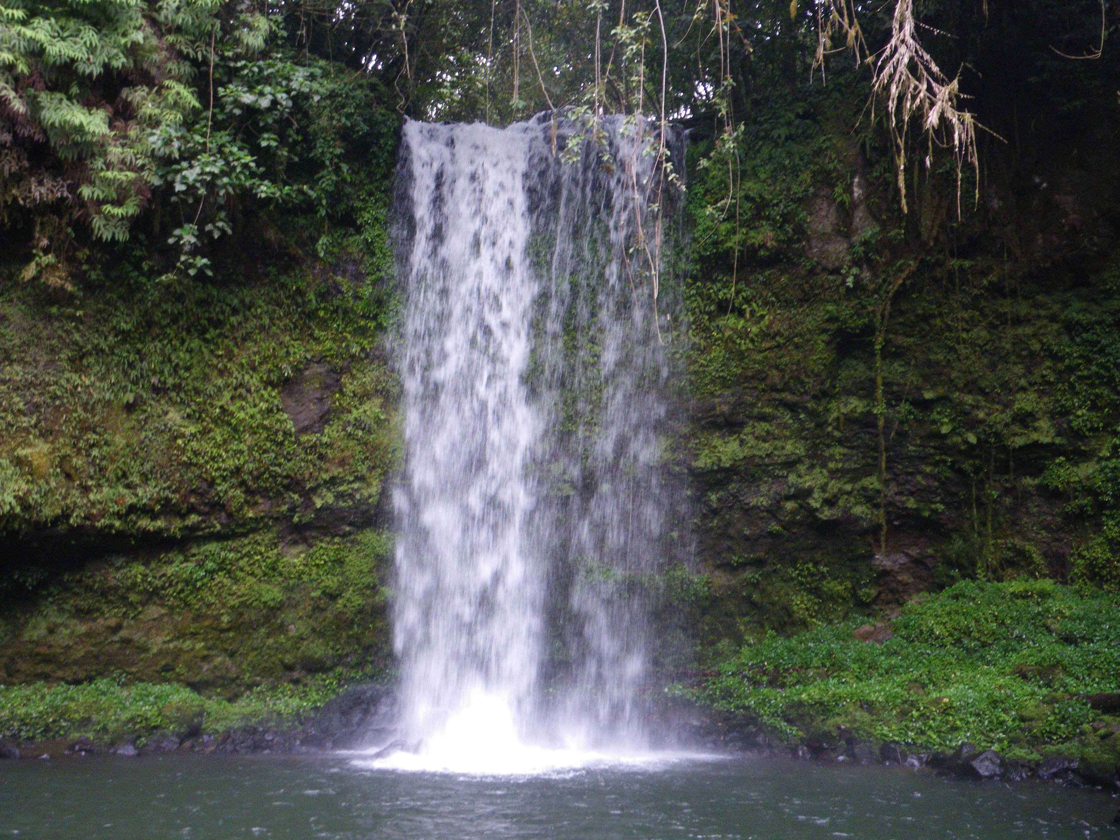 A waterfall at Rumpi Hills. Photograph Olivier Lachenaud, 2009