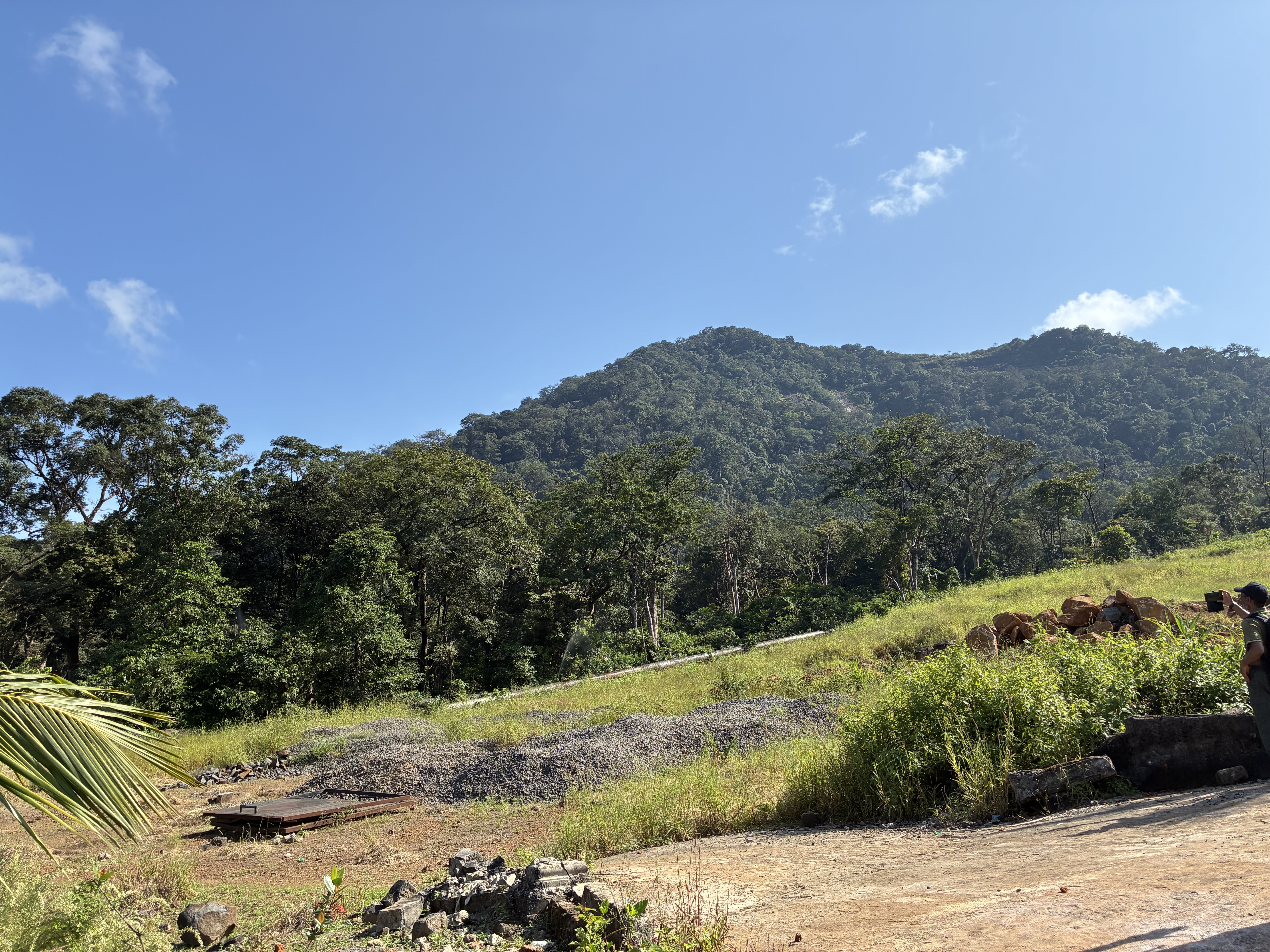 Lush forest ecotone of the Western area Peninsula forest.
Photo credit @ Fanny Massally