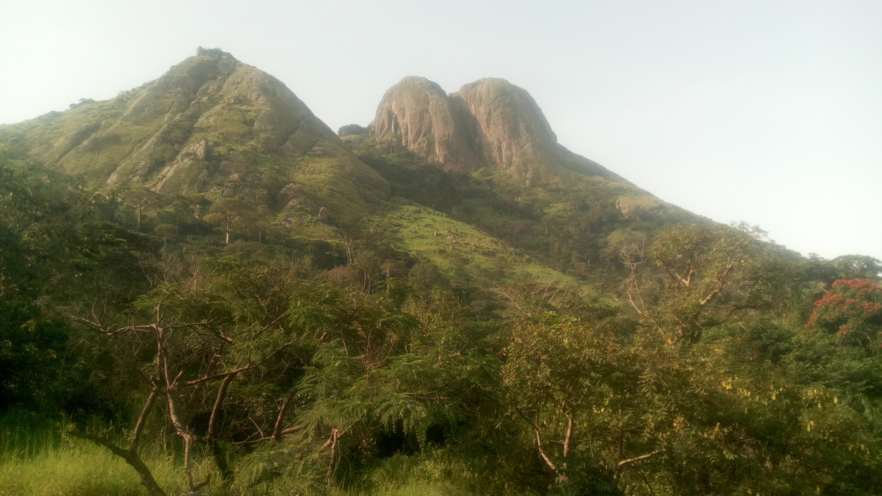 Mt Konossou (Photo: ©Pépé Haba Guinée Biodiversité)