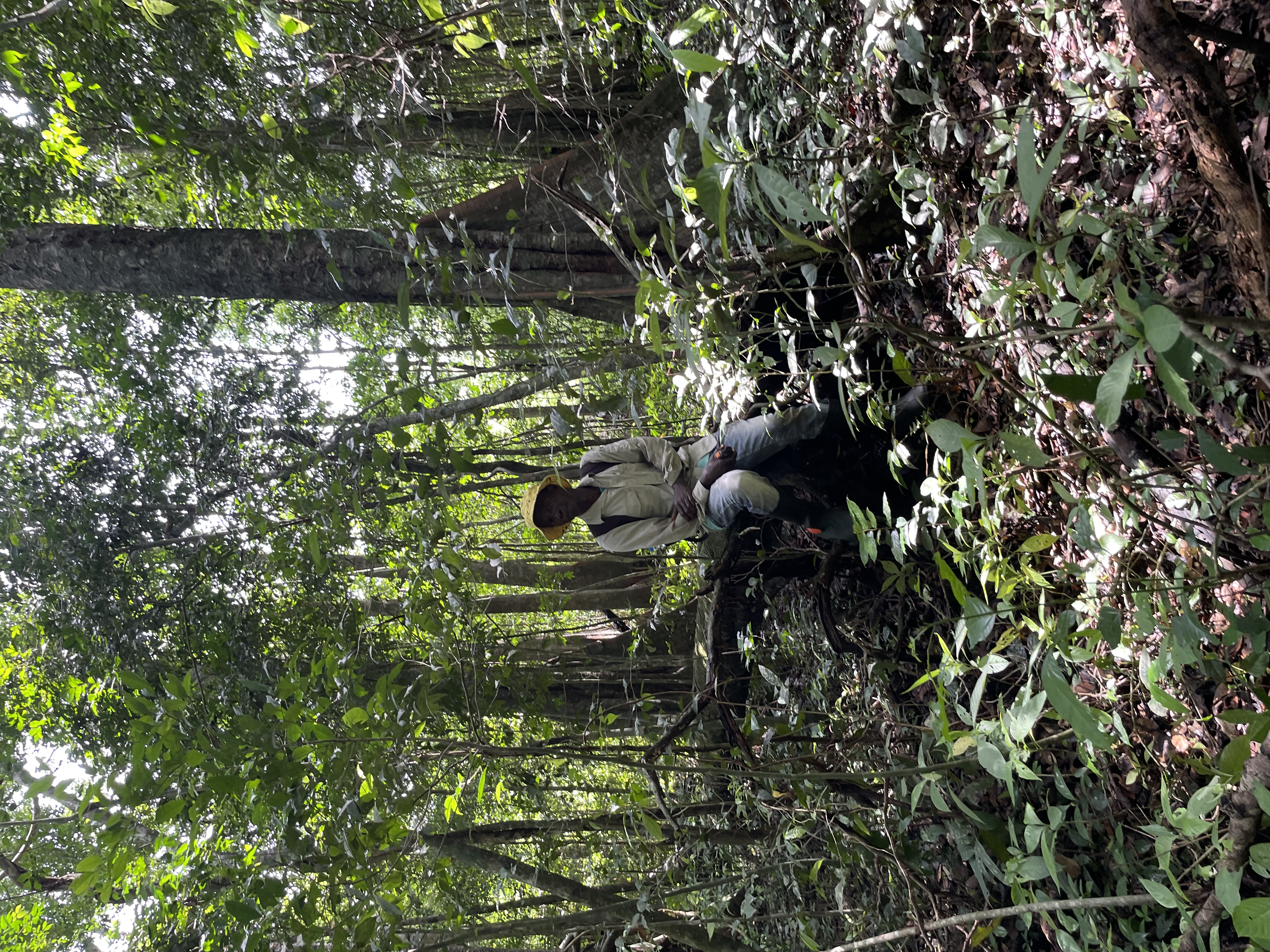 Forest Vegetation at Kasewe Forest
Photo credit @ Fanny Massally.