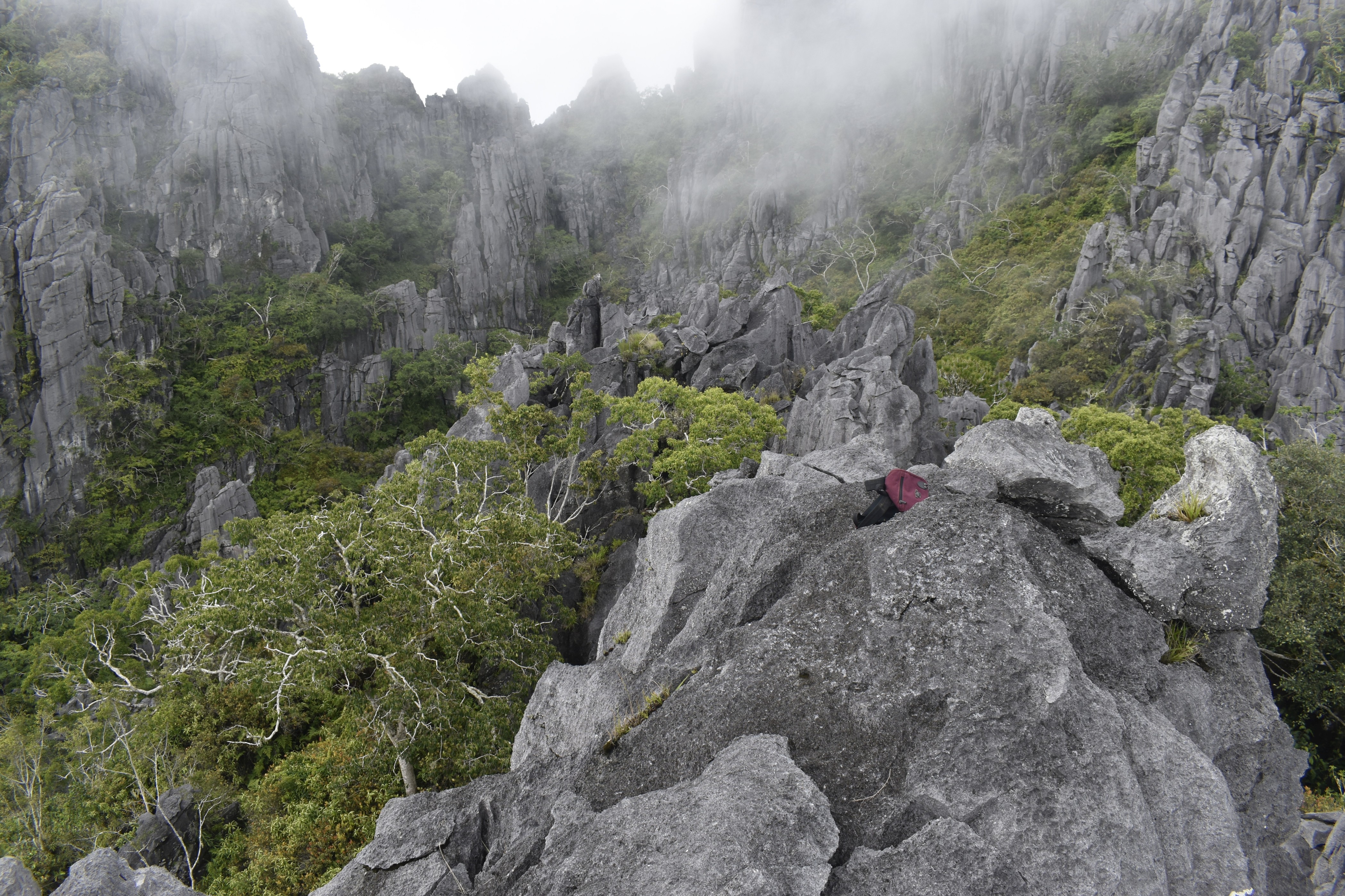 Mount Batu Sangia, vegetation among the rocky outcrops (Arman)