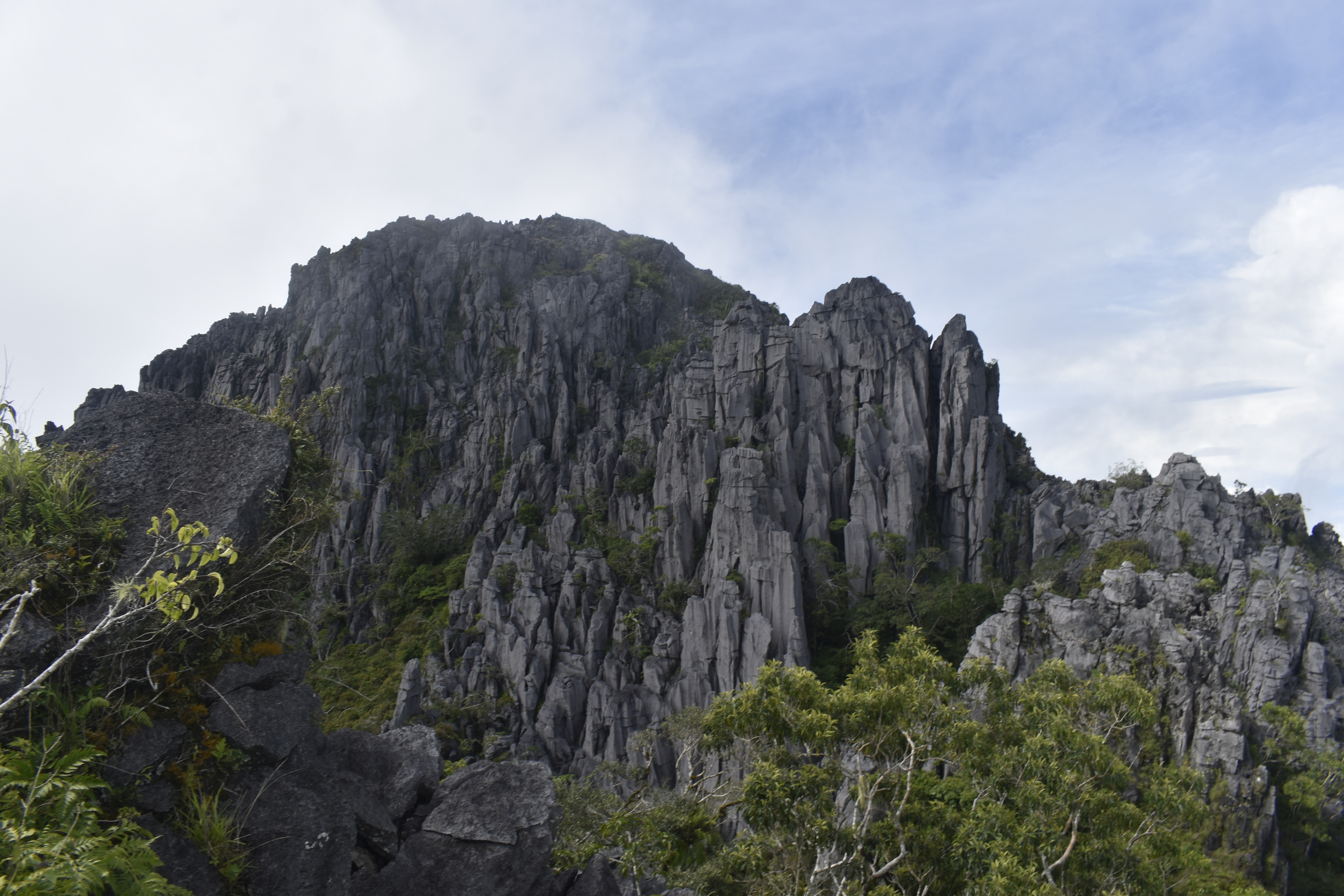 Mount Batu Sangia, summit area with vertical rock cliffs (Arman)