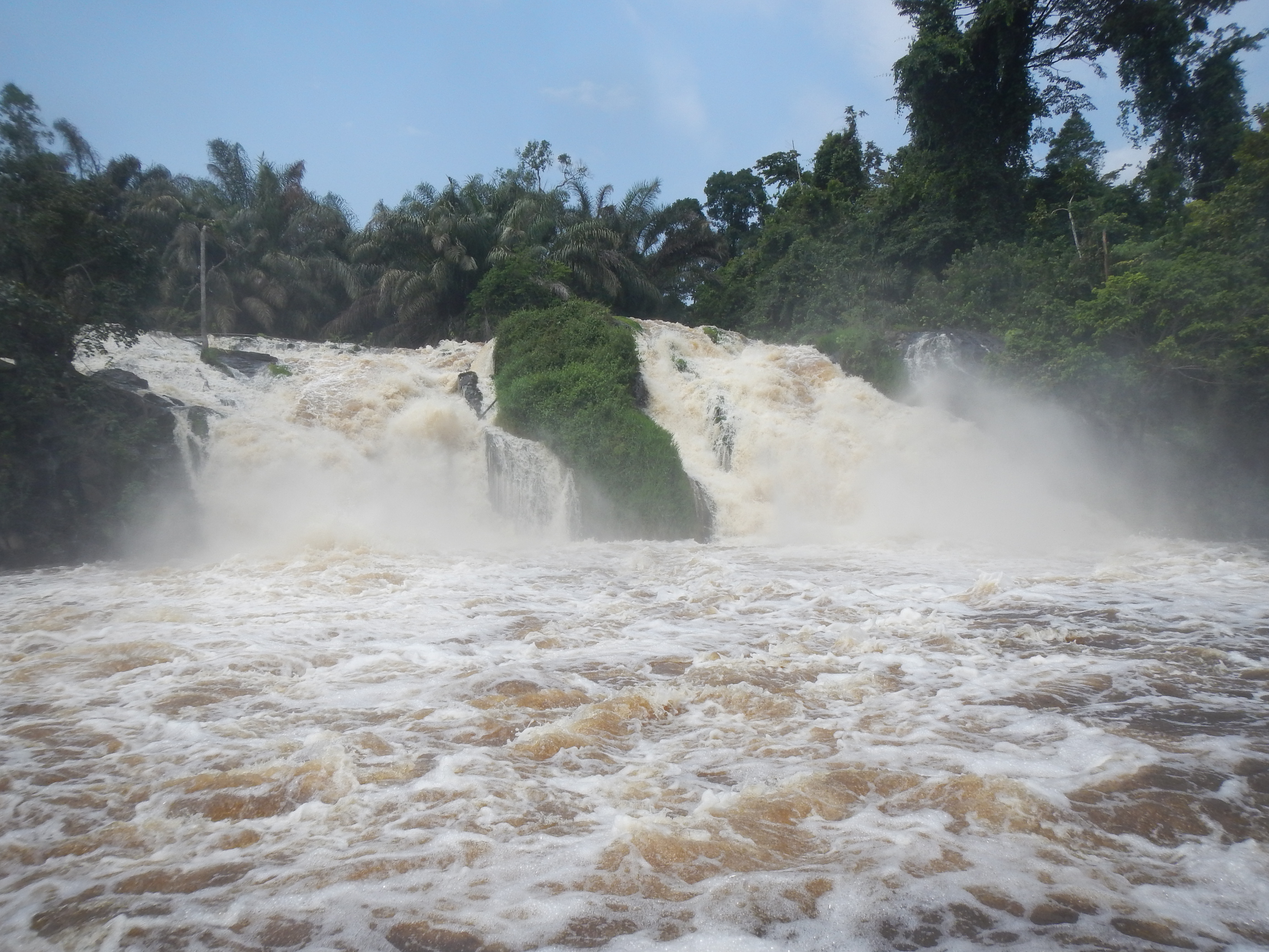 Memv'ele Falls on the river Ntem. Photograph Xander van der Burgt, 2016 © RBG, Kew.