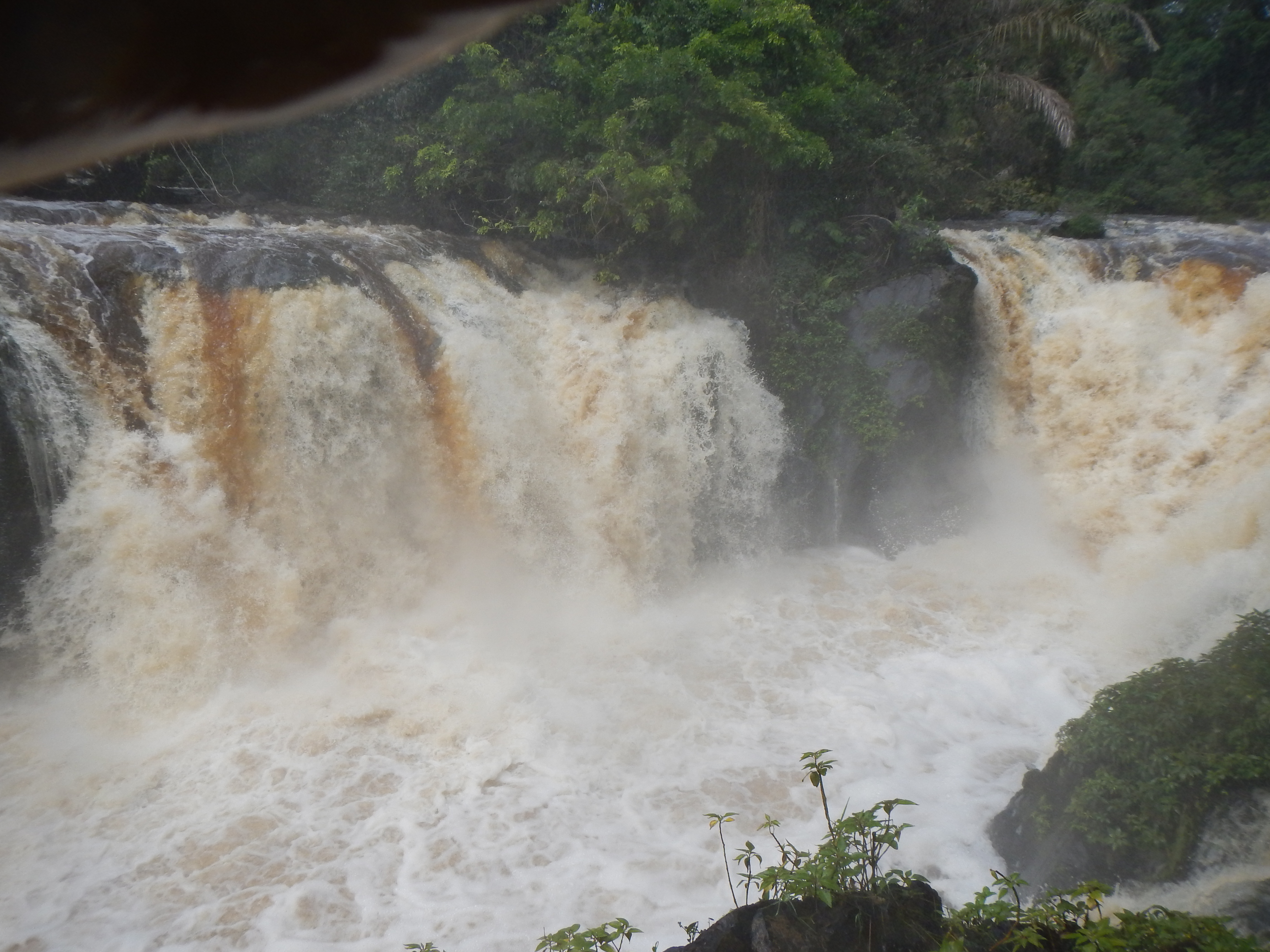 Memv'ele Falls on the river Ntem. Photograph Xander van der Burgt, 2016 © RBG, Kew.