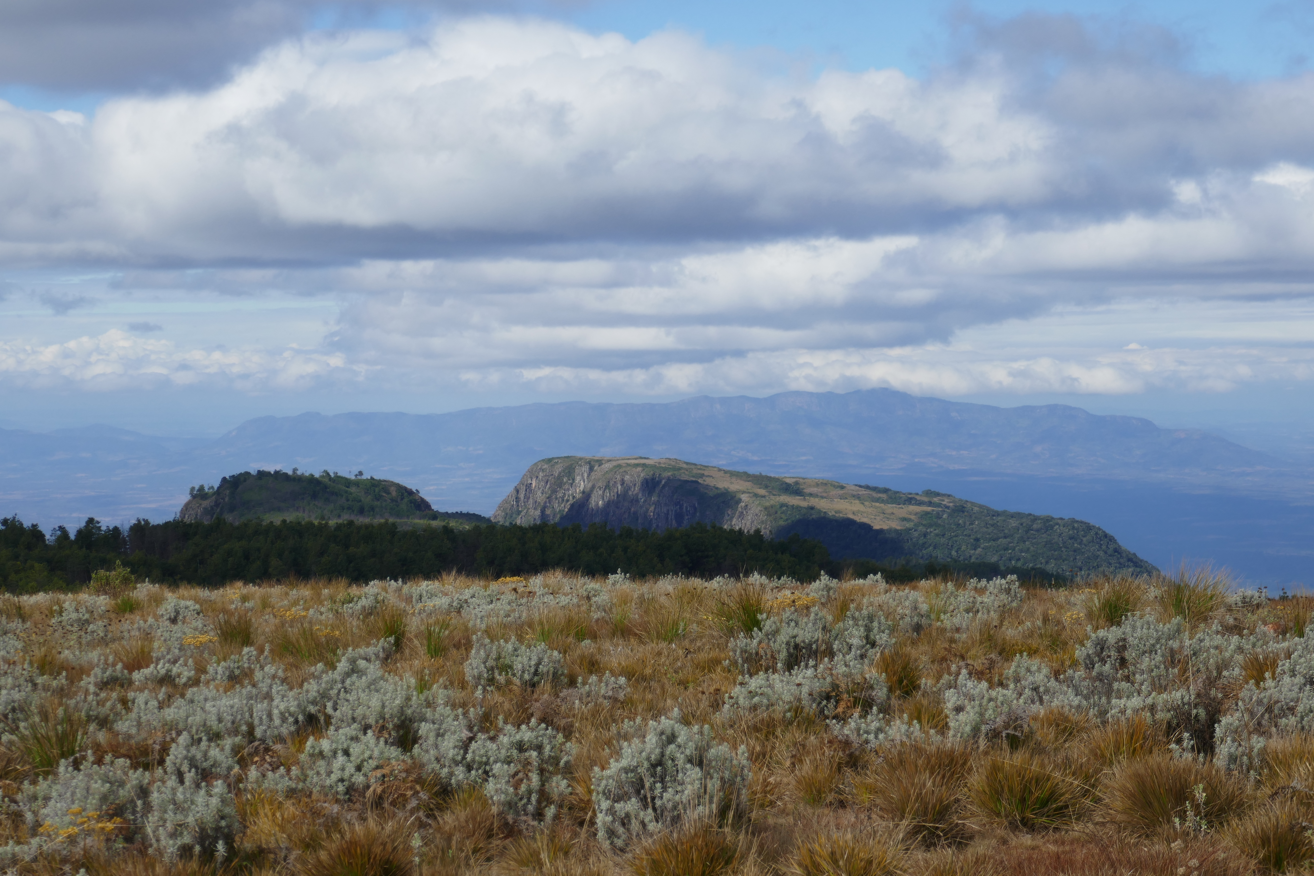 Montane shrubland on the Tsetserra Plateau. Photo: J. Osborne