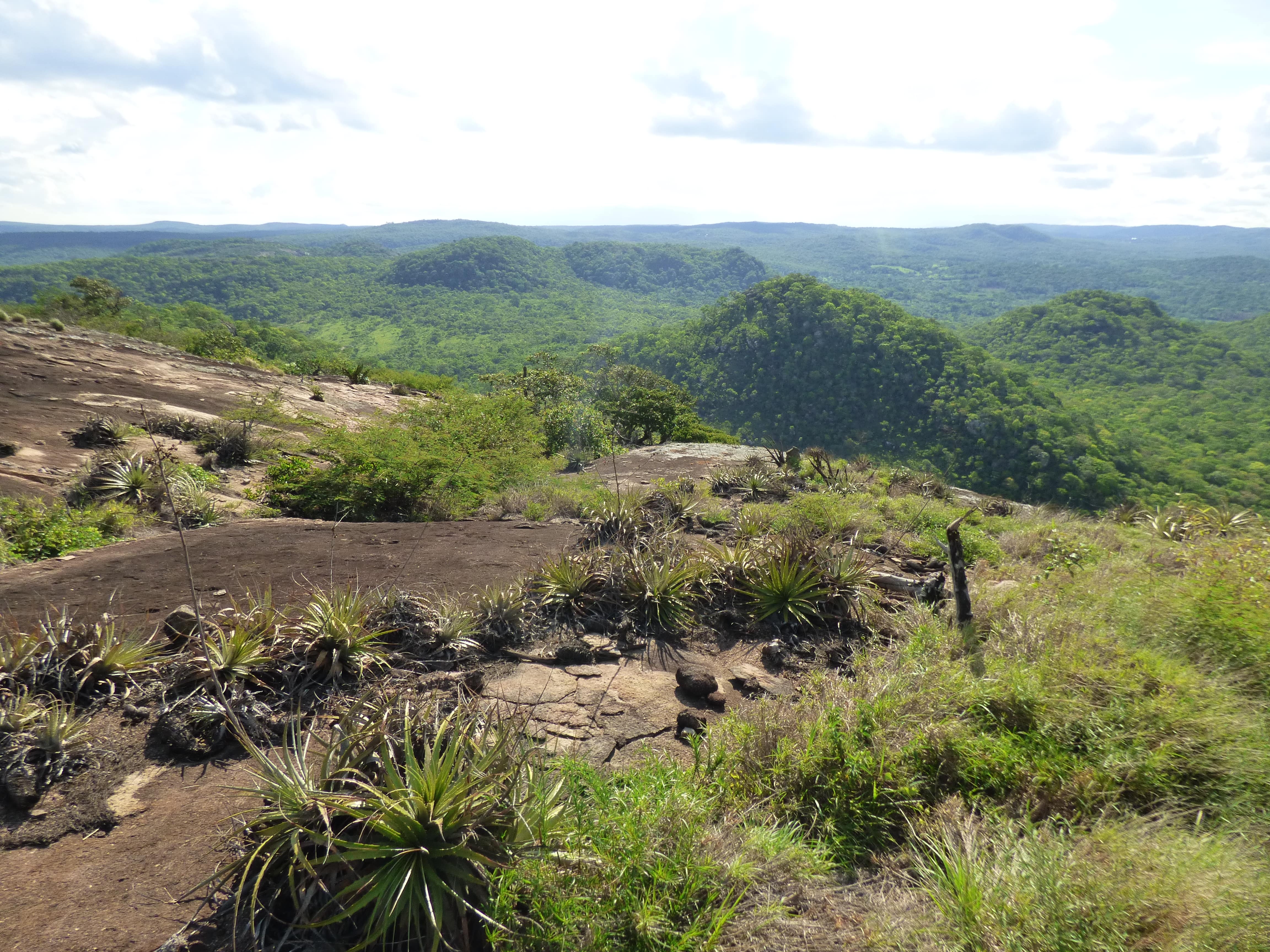 Cima de uno de los Domos (Cúpula granítica) y vista del Área Protegida Orquídeas de El Encanto 
©Maira Martinez Proyecto Iniciativa Darwin (26-024)