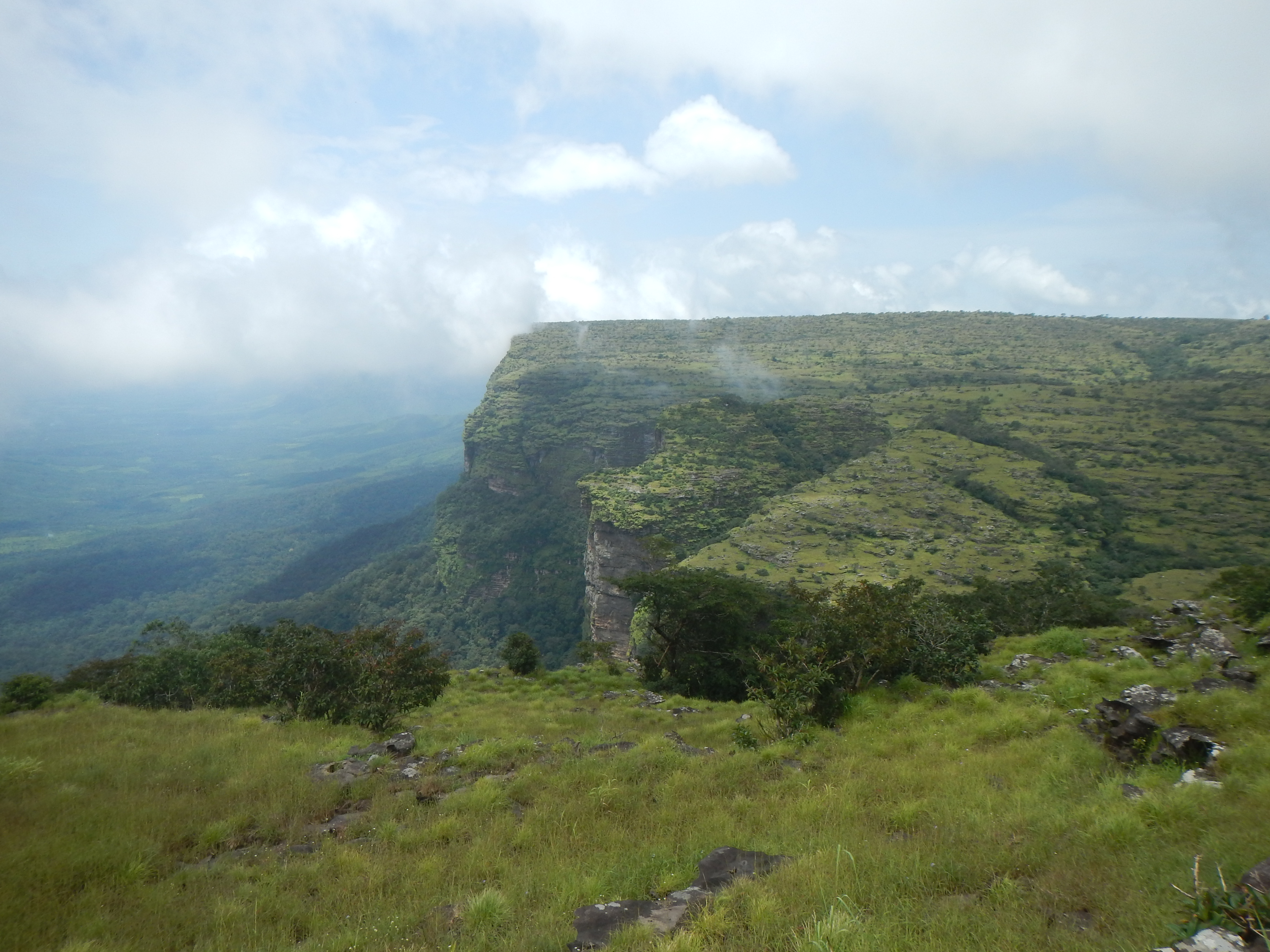 Kounounkan Massif Plateau. (Photo: © Xander van der Burgt, RBG Kew)