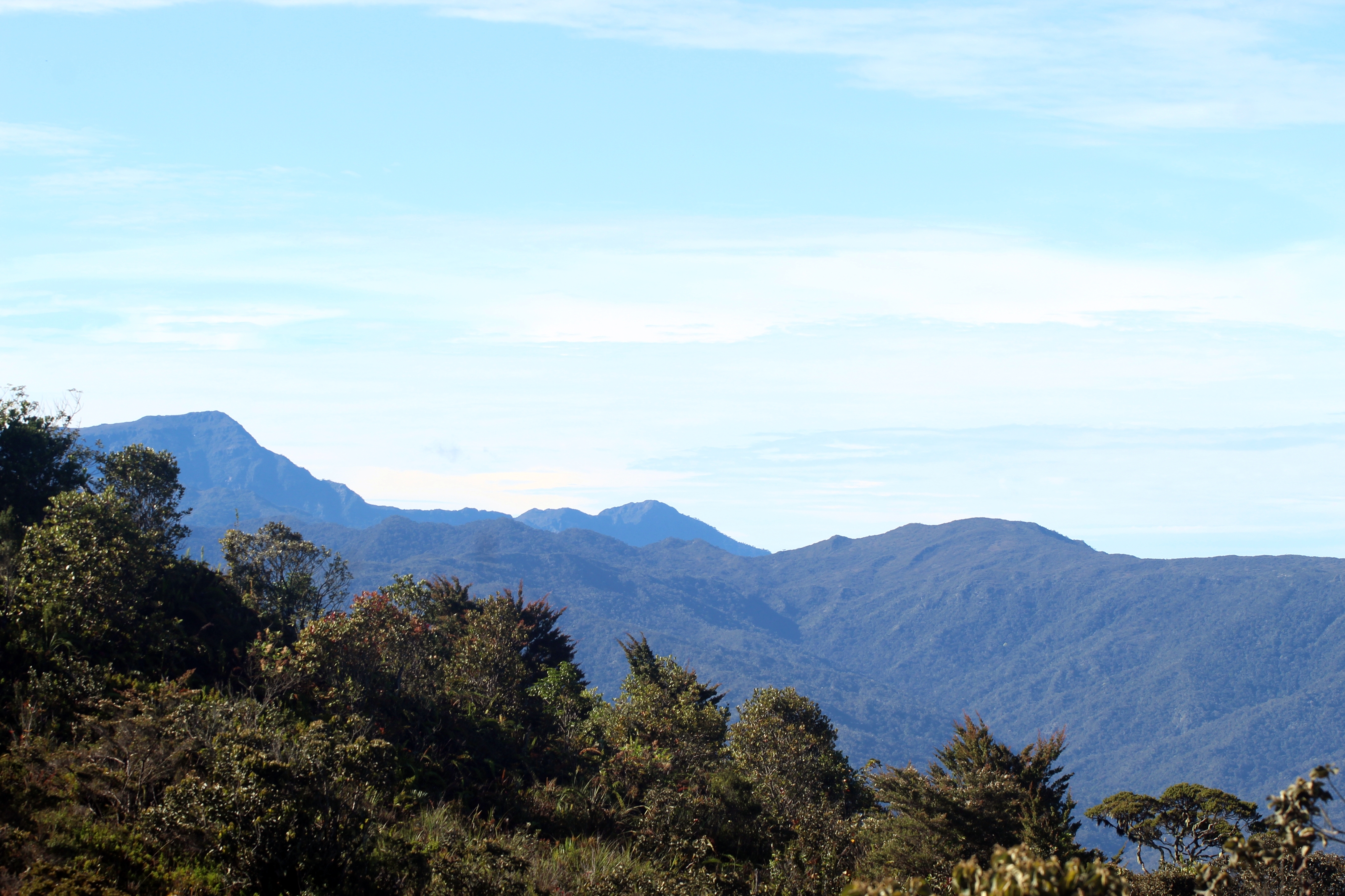 Mount Leuser showing the mountainous landscape (Wendy A Mustaqim)