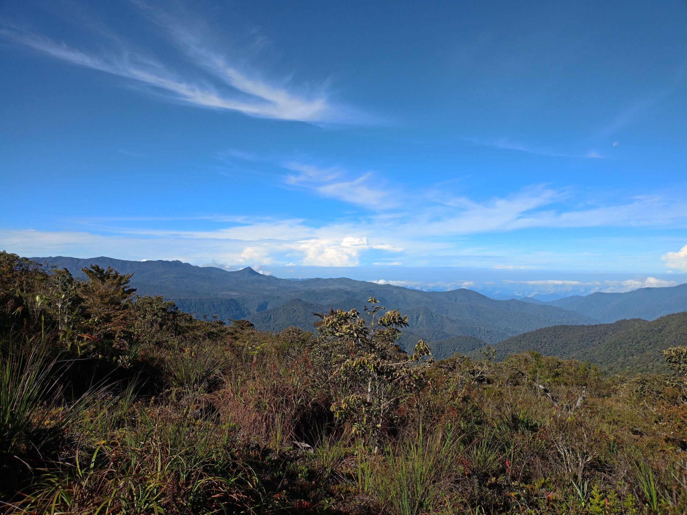 Mount Leuser showing the mountainous landscape and dwarfed subalpine vegetation (Wendy A Mustaqim)