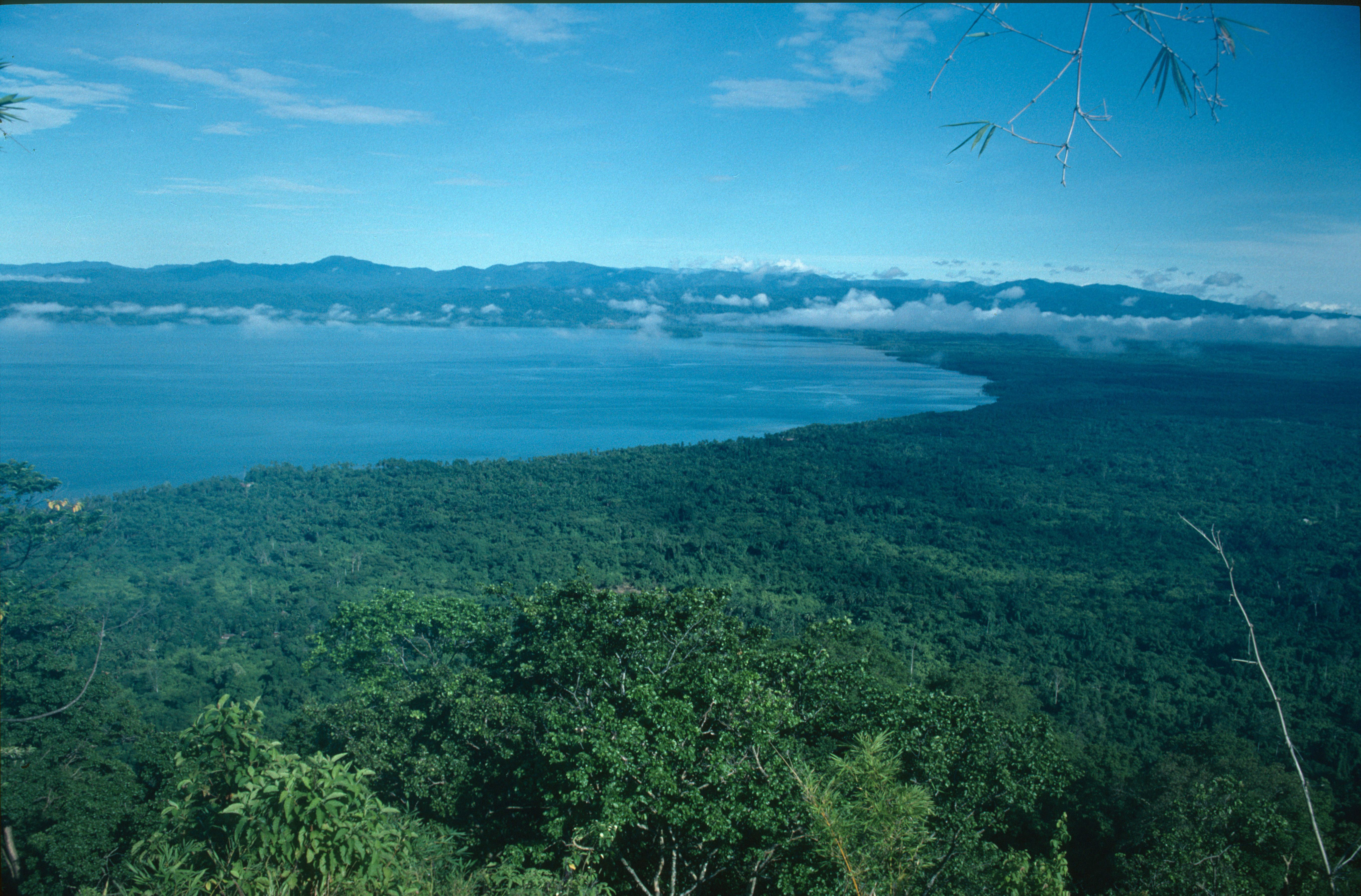 View of the Wondiwoi mountains (photo Bill Baker)