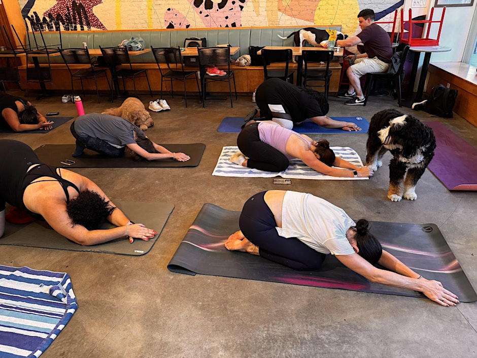 Dog Friendly Yoga @ Boris & Horton