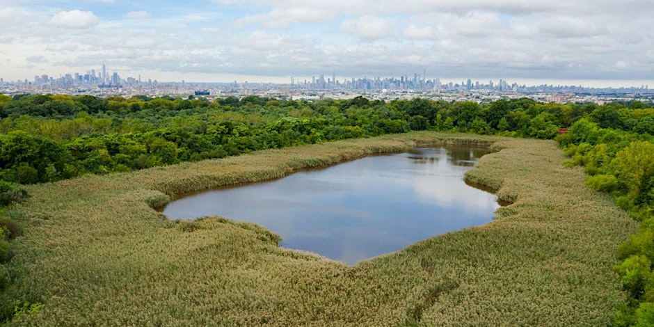 Volunteer Landscaping and Cleanup at Ridgewood Reservoir