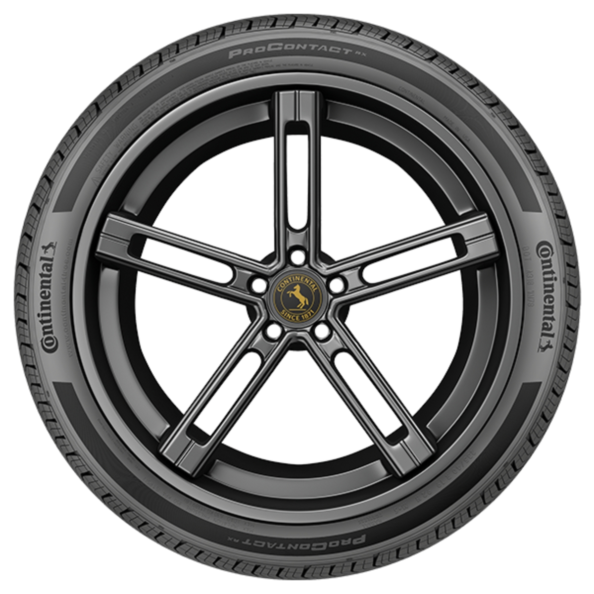 continental Procontact RX COSTADO