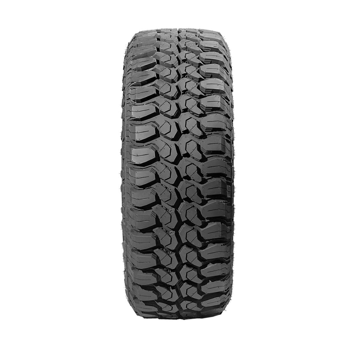 delinte DX-9 Bandit M/T DIBUJO