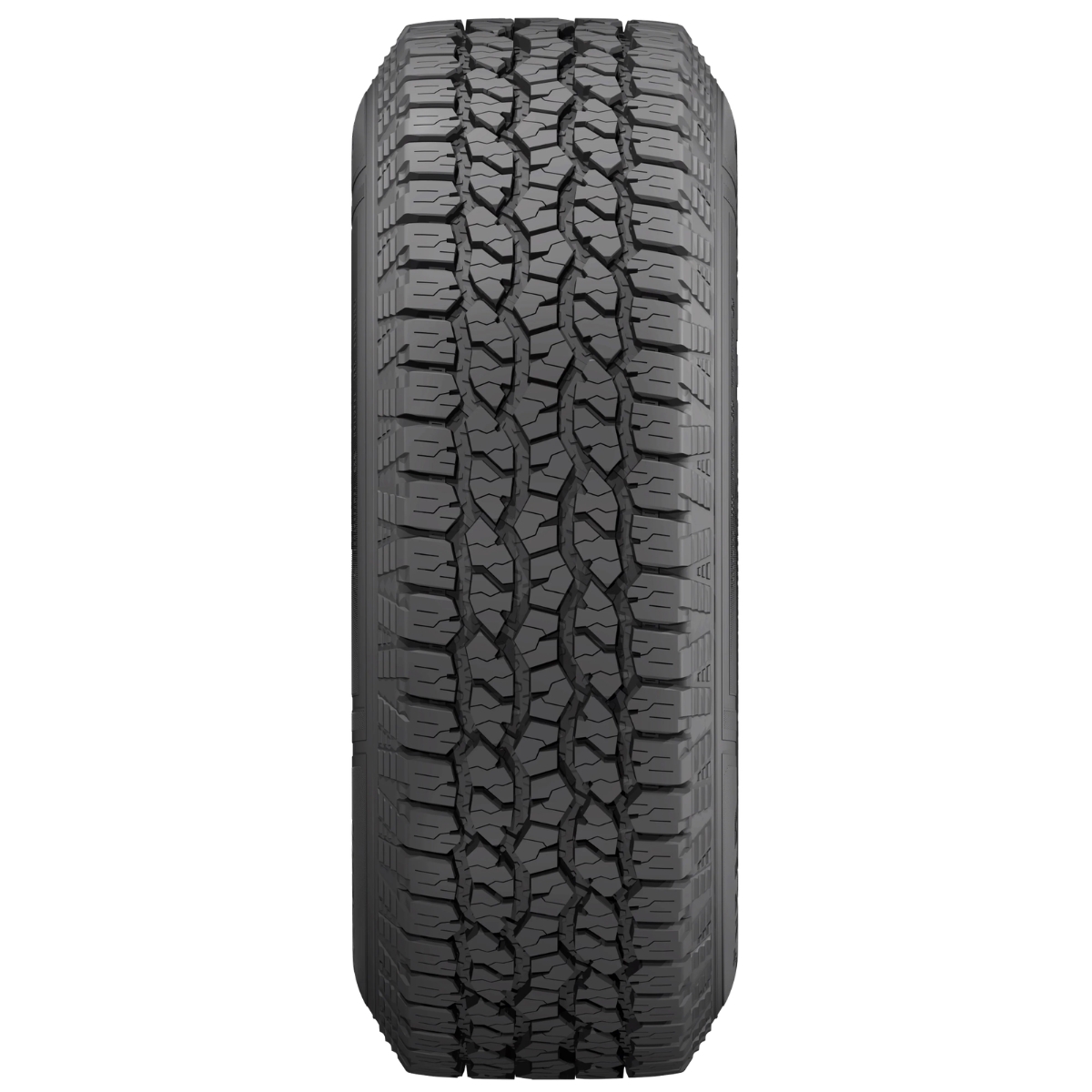 goodyear Wrangler Workhorse AT DIBUJO