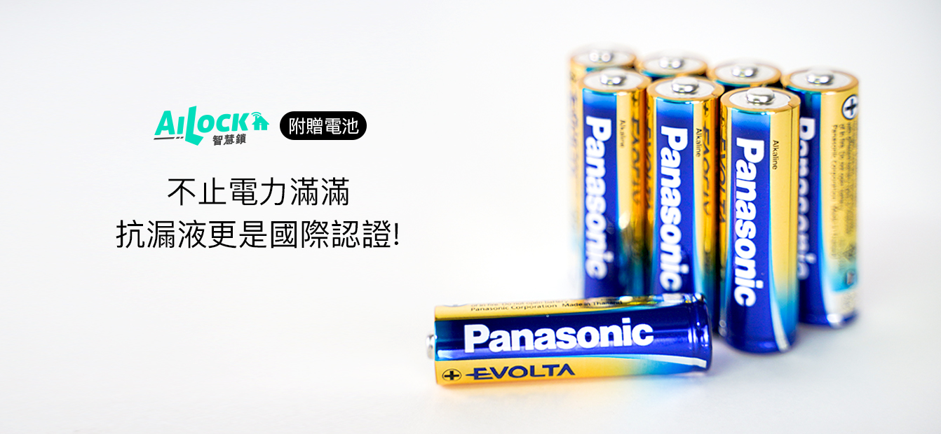 Panasonic EVOLTA鈦元素電池