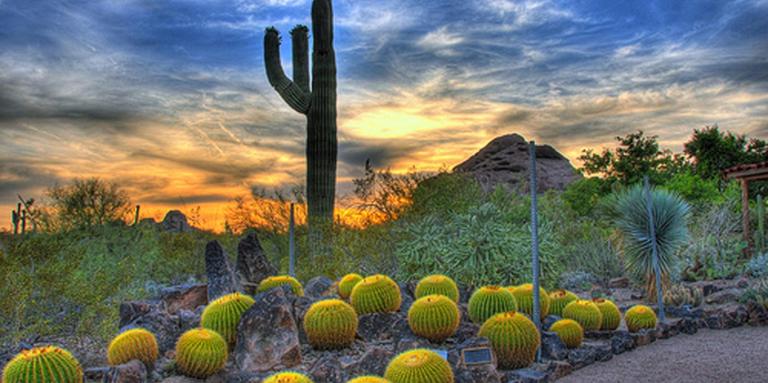 Arizona Desert Adventure led by Jeff Epping, Country Travel Discoveries