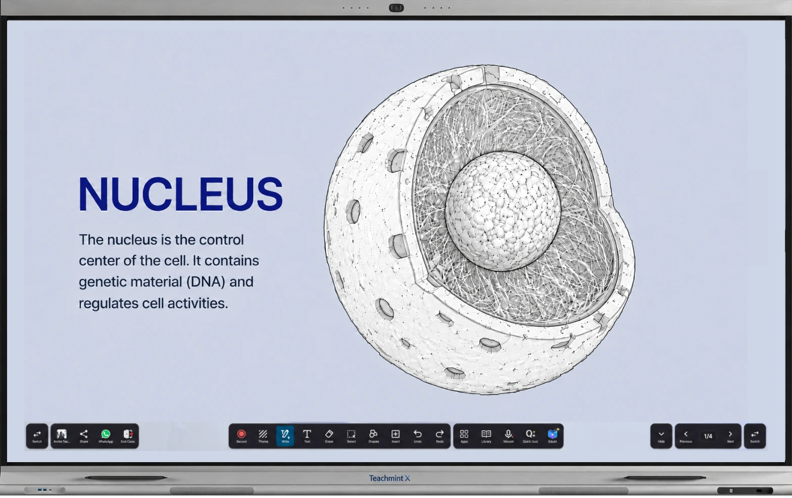 Teachmint X interactive flat panel displaying a lesson on the cell nucleus