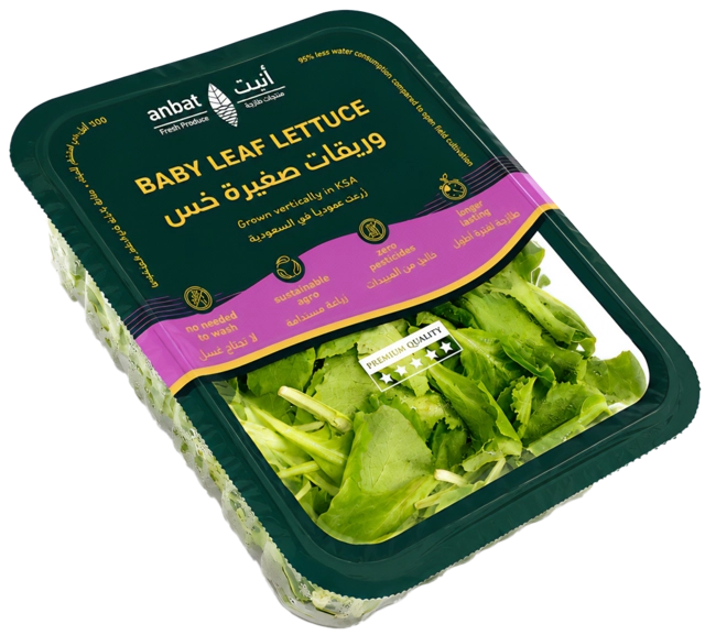 انبت أوراق خس صغيرة-100 غرام
