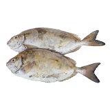 Buy  Safi Fish From Omani - 500 g in Saudi Arabia